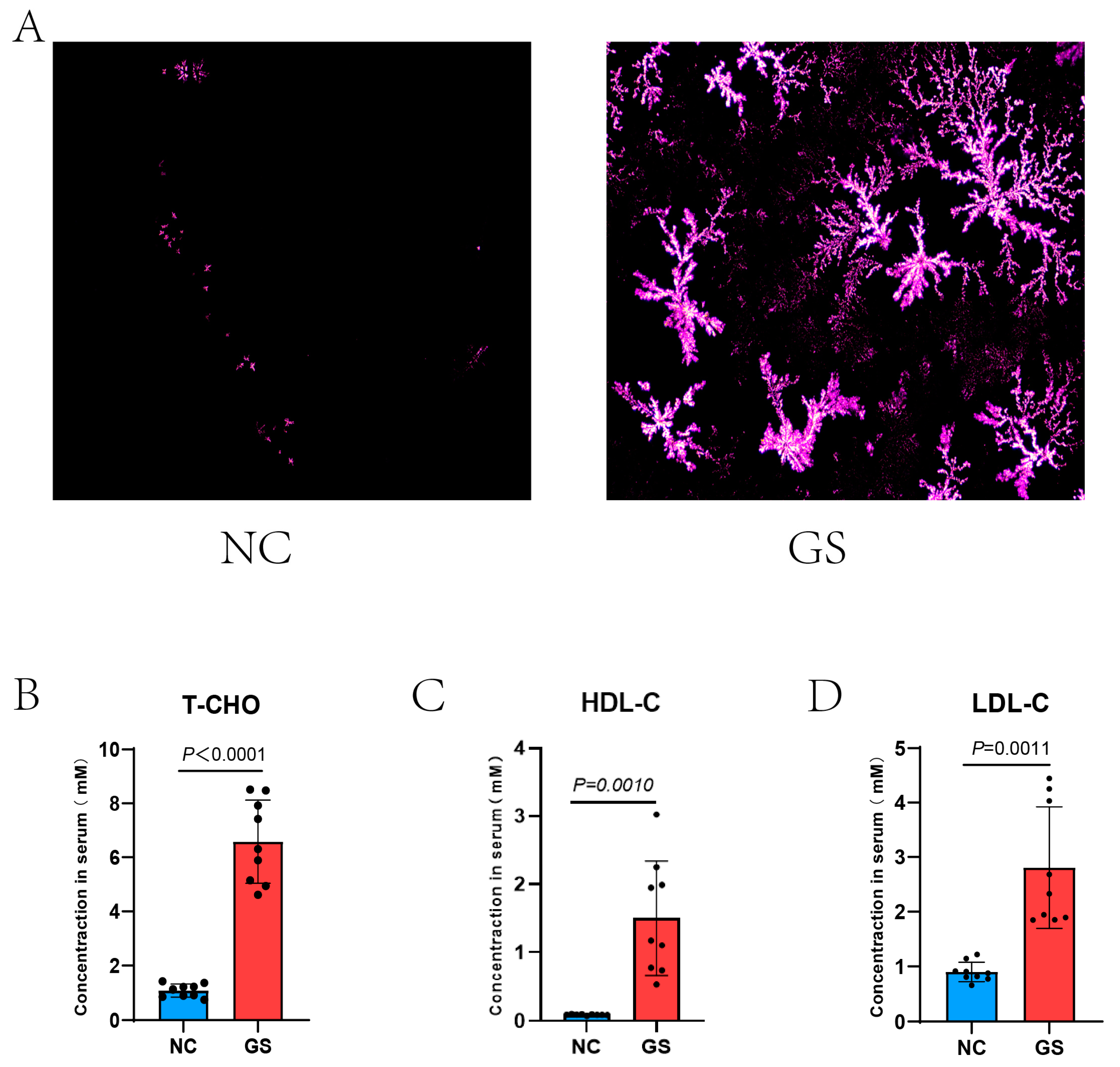 Bioengineering 12 00034 g001 Bioengineering 12 00034 g001