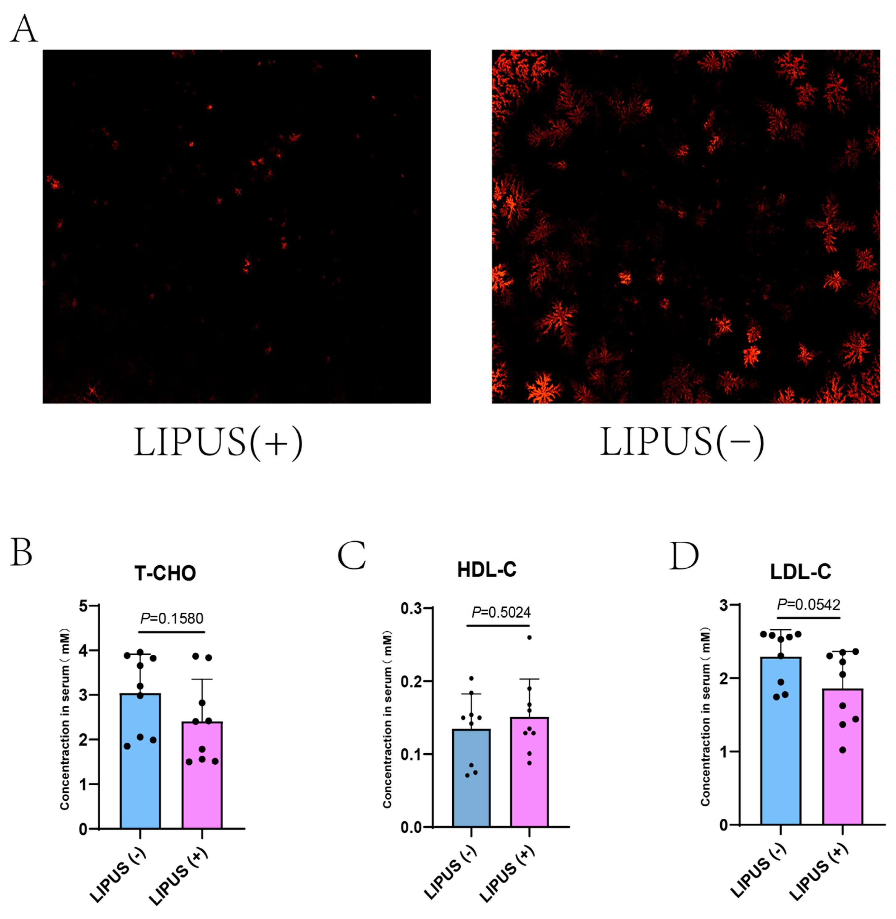 Bioengineering 12 00034 g002 Bioengineering 12 00034 g002