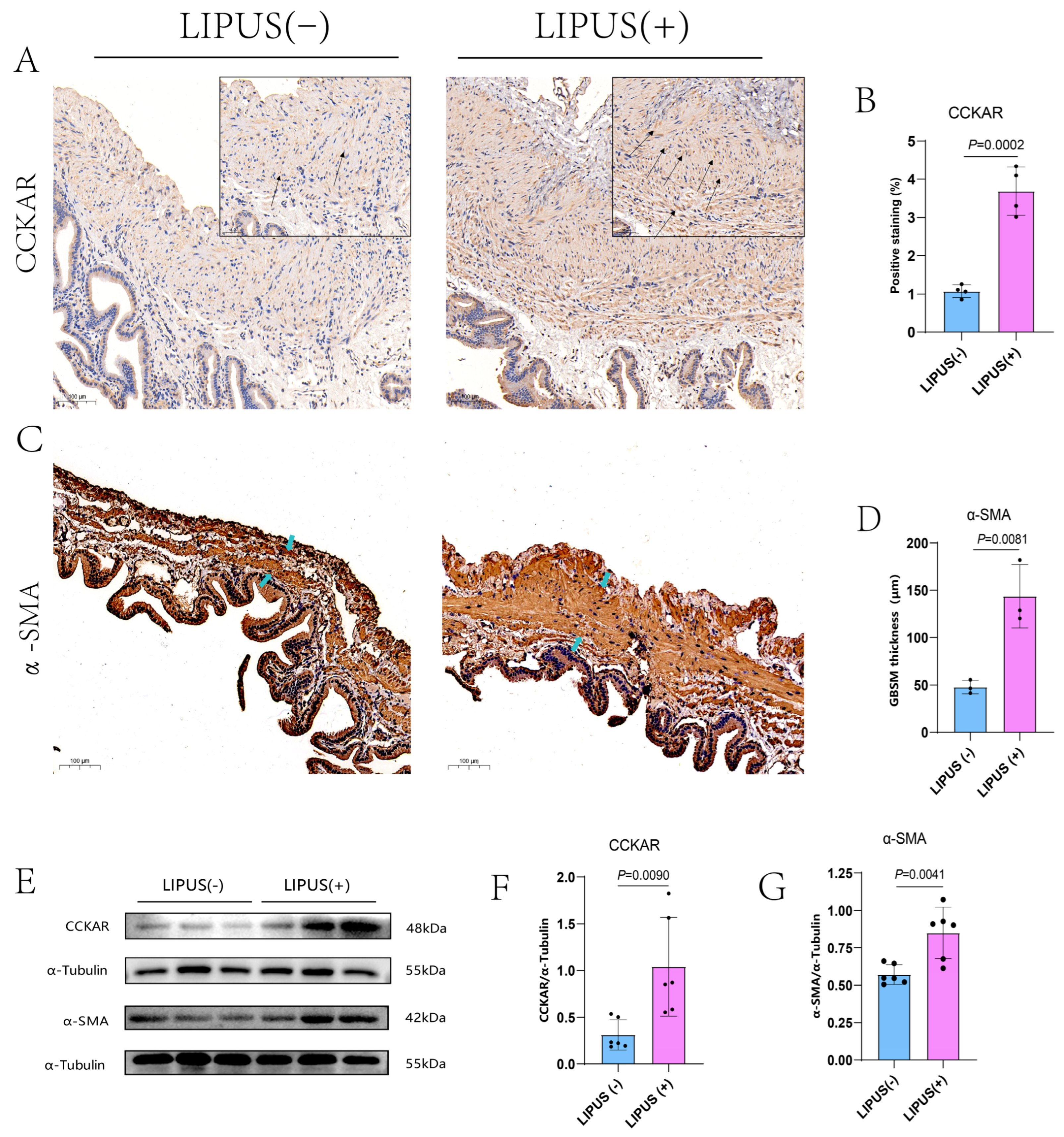 Bioengineering 12 00034 g005 Bioengineering 12 00034 g005