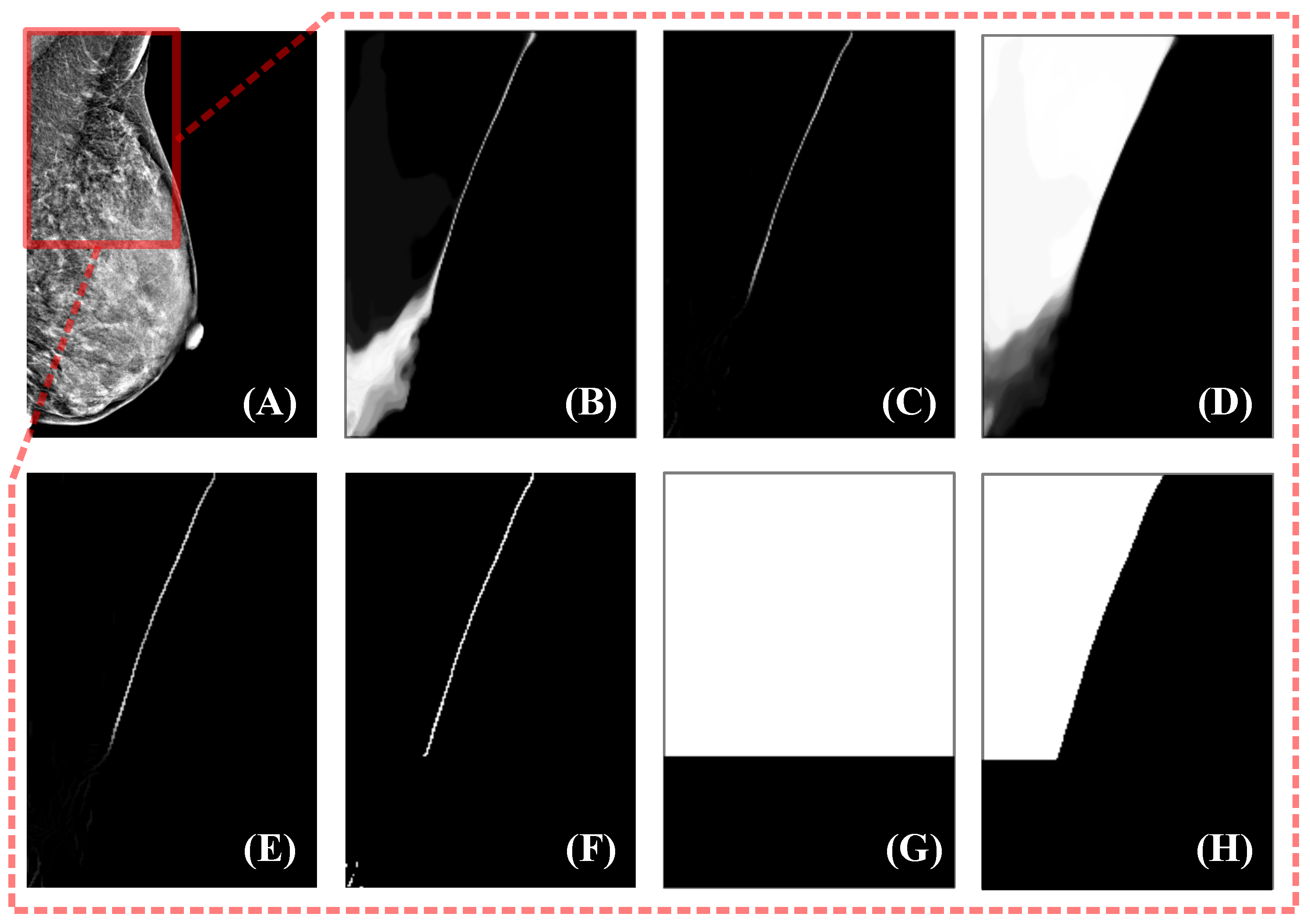 Bioengineering 12 00036 g002