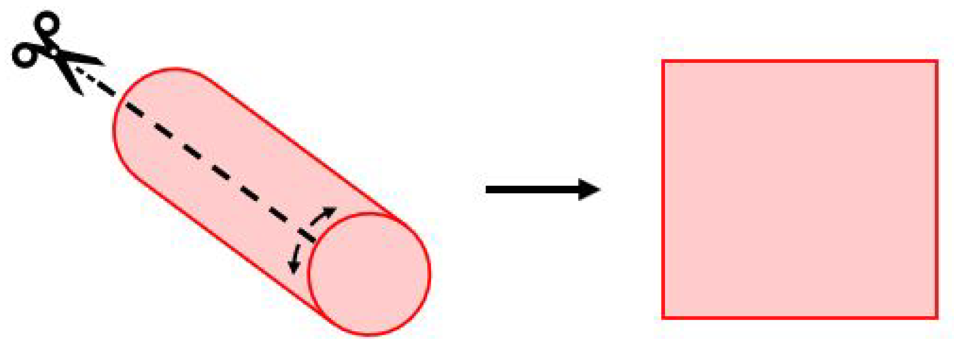 Bioengineering 12 00041 g001