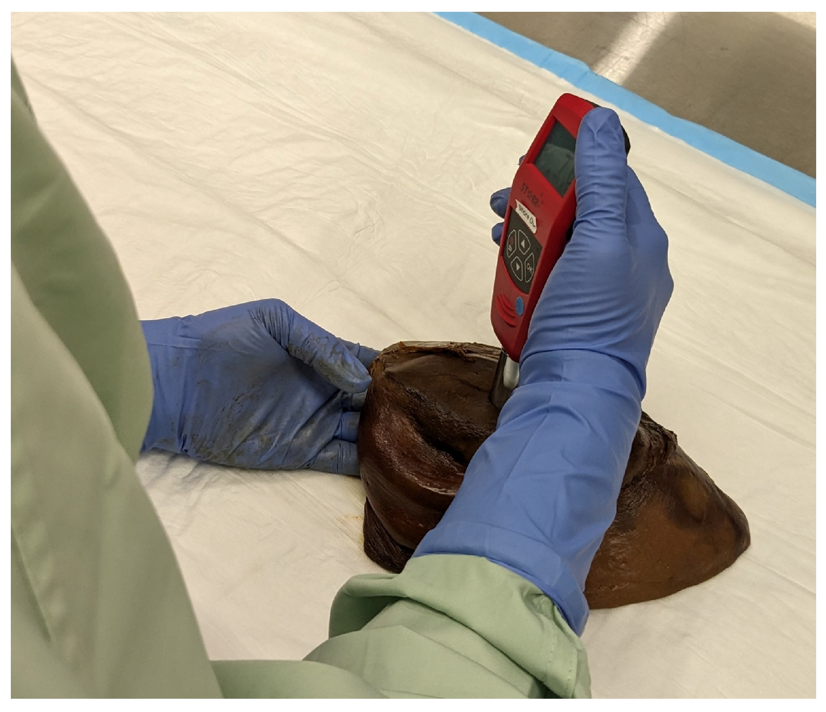 Bioengineering 12 00041 g006