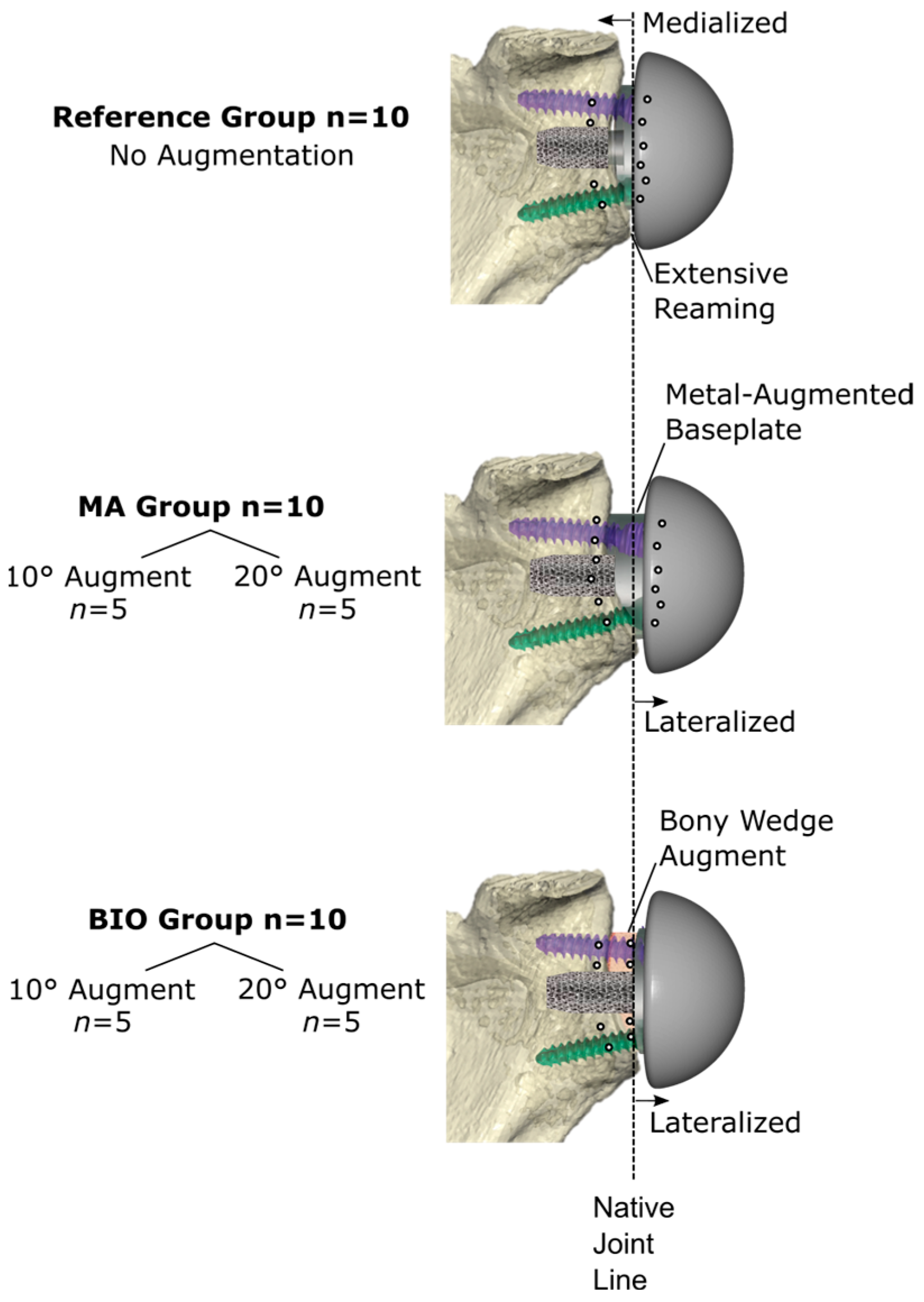 Bioengineering 12 00042 g001