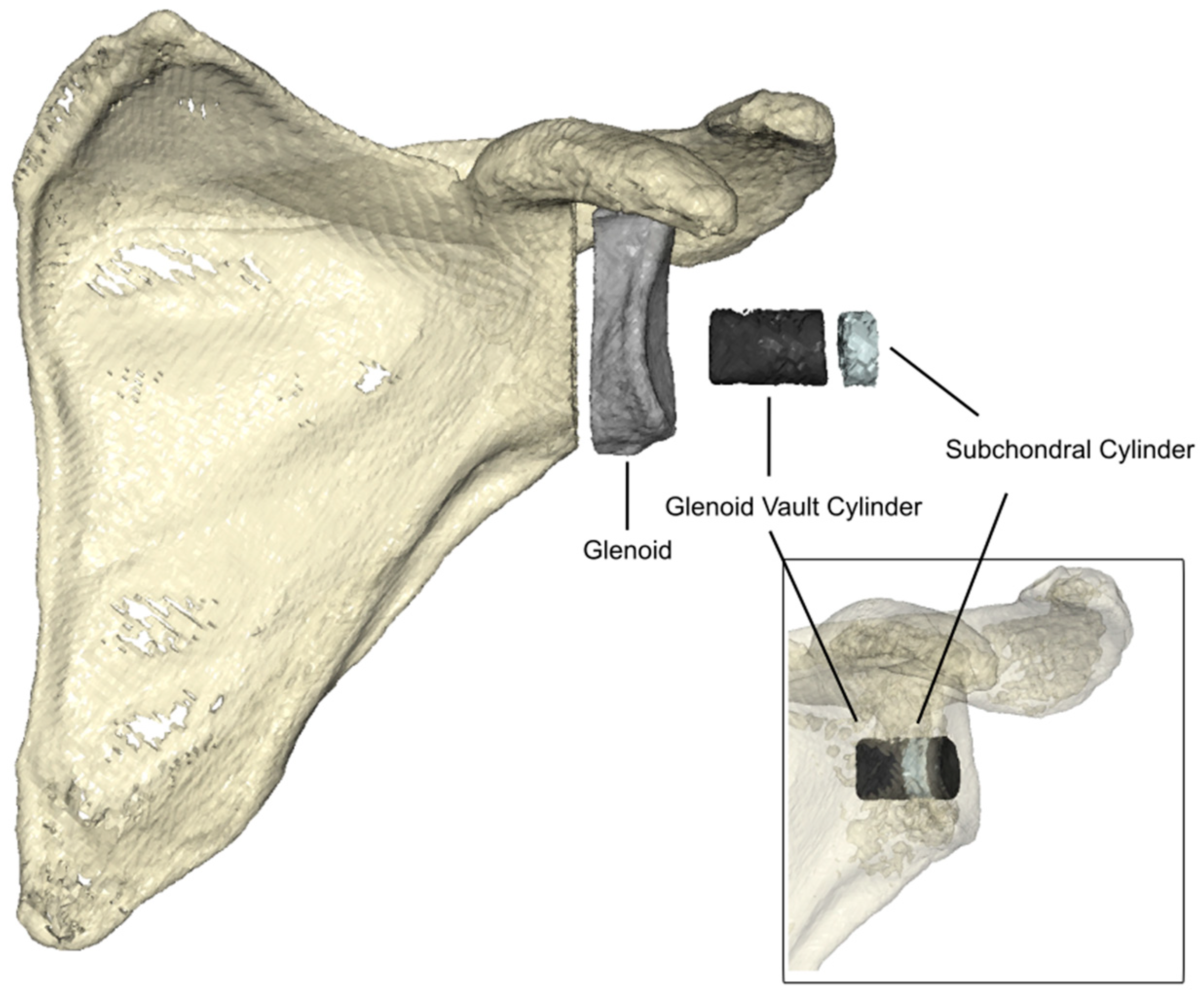 Bioengineering 12 00042 g002