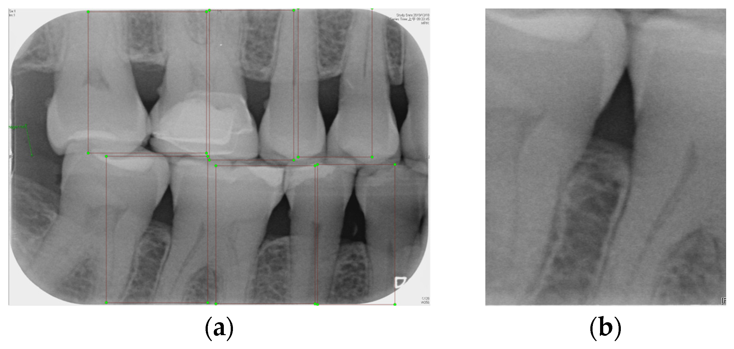 Bioengineering 12 00043 g002