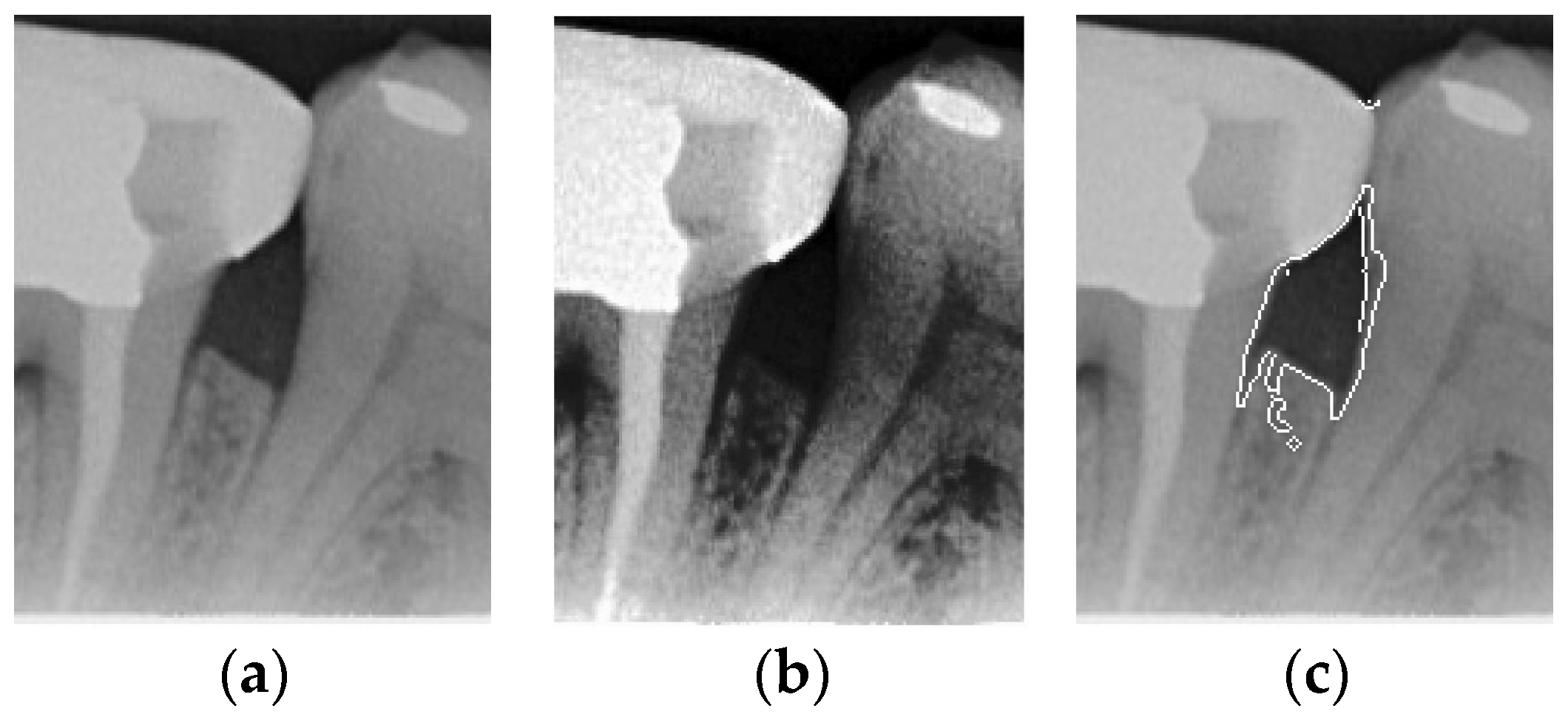 Bioengineering 12 00043 g005