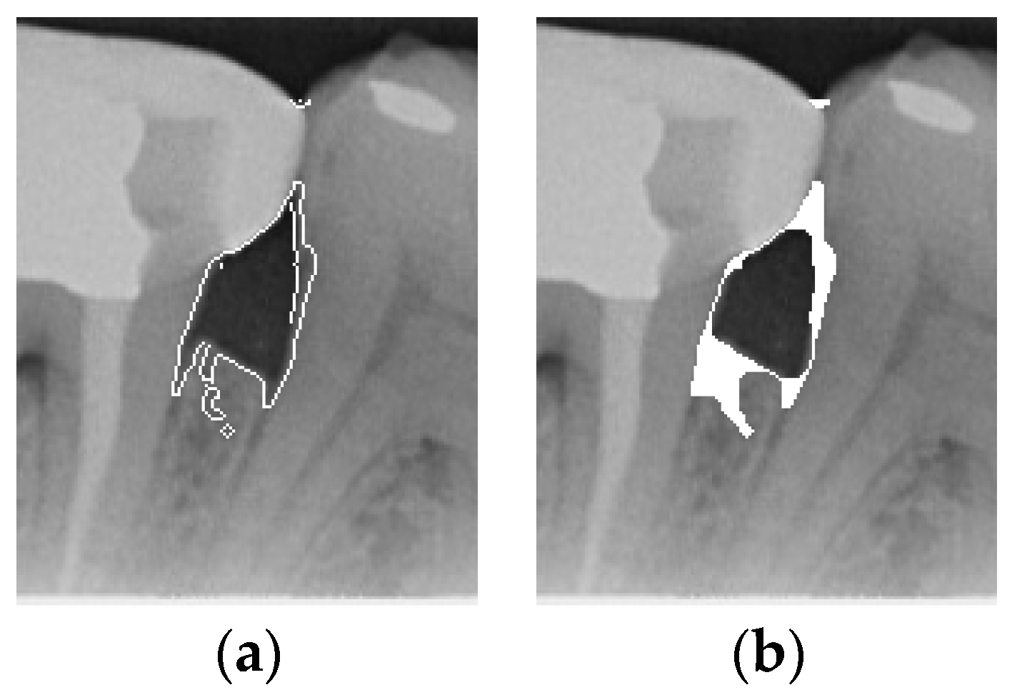 Bioengineering 12 00043 g006