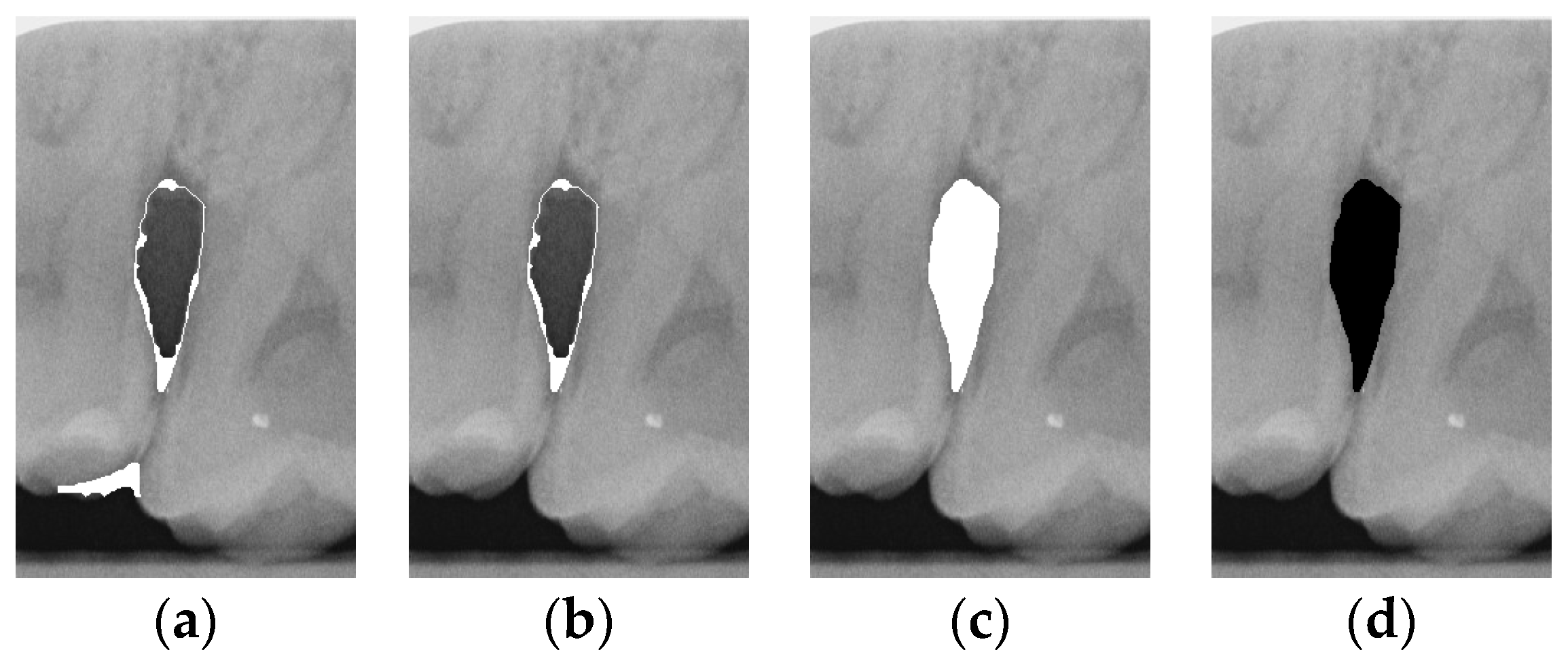 Bioengineering 12 00043 g007