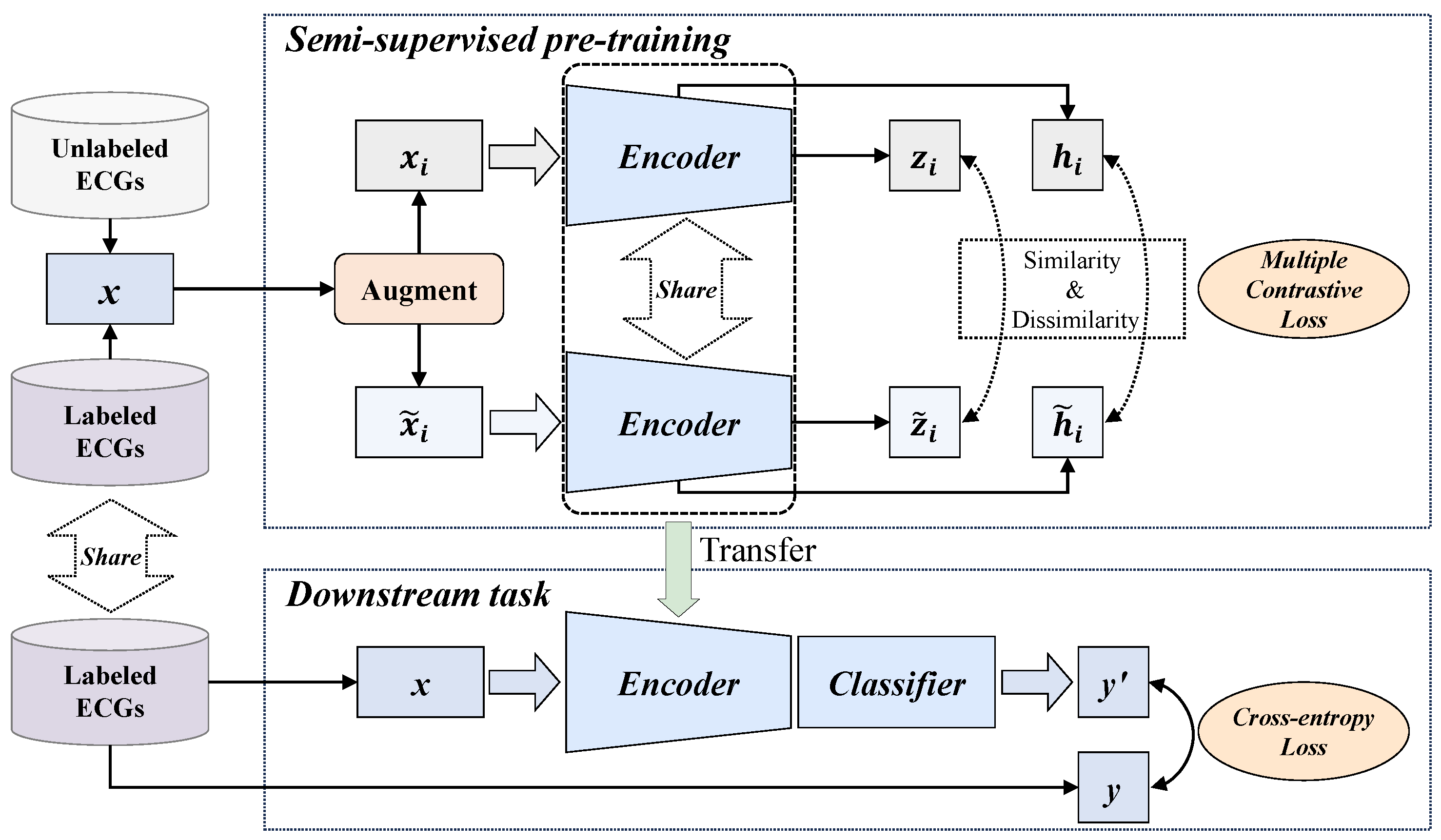 Bioengineering 12 00044 g001