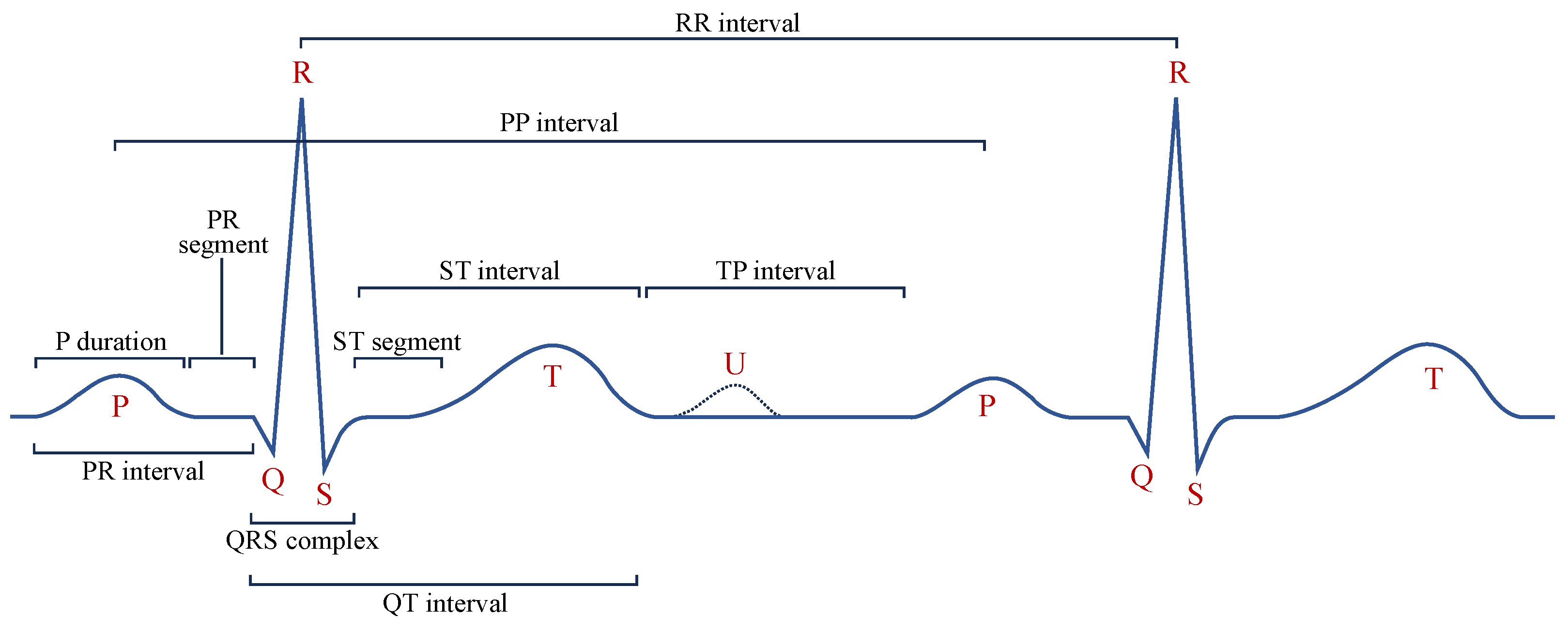 Bioengineering 12 00044 g002