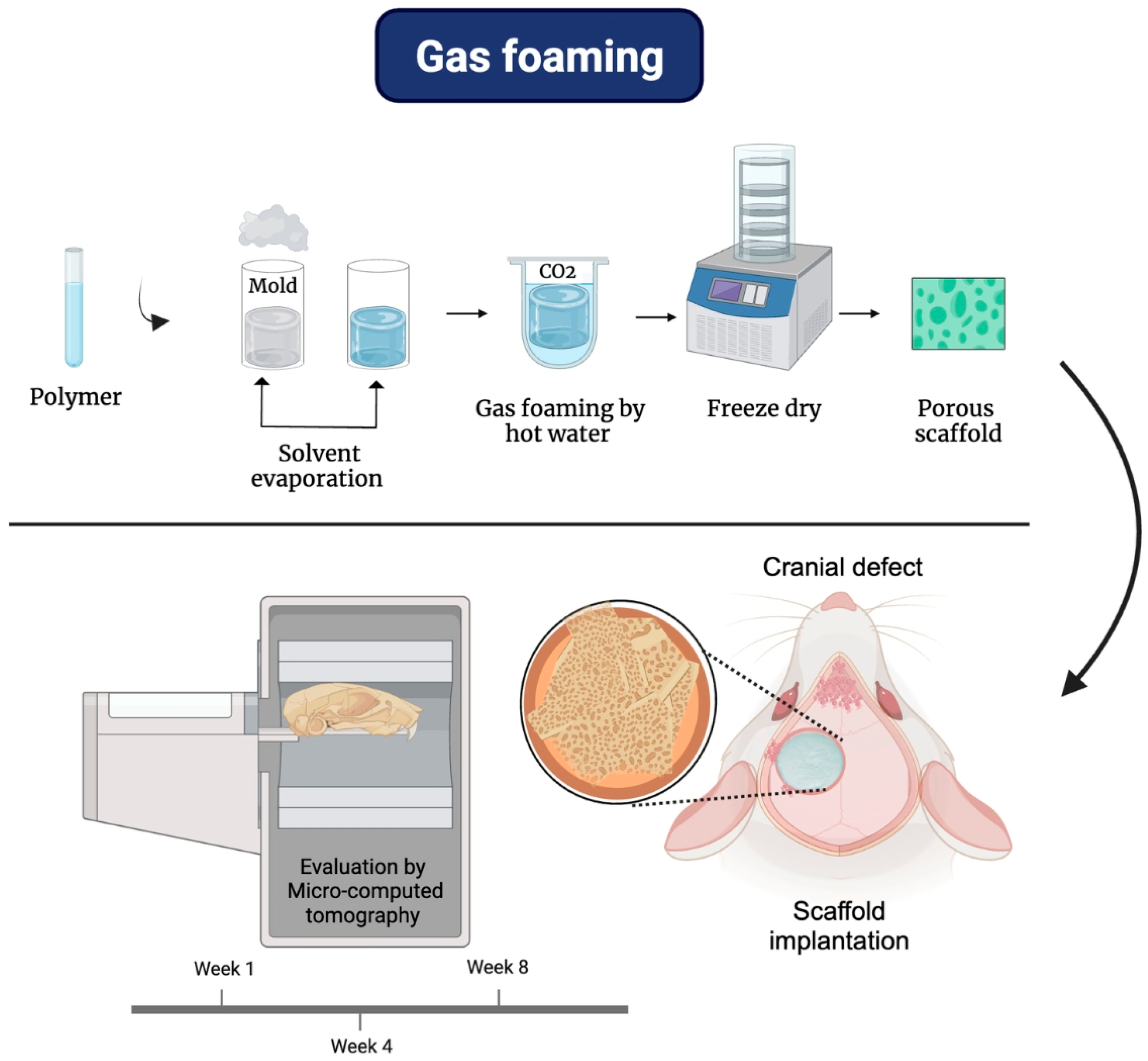 Bioengineering 12 00046 g004
