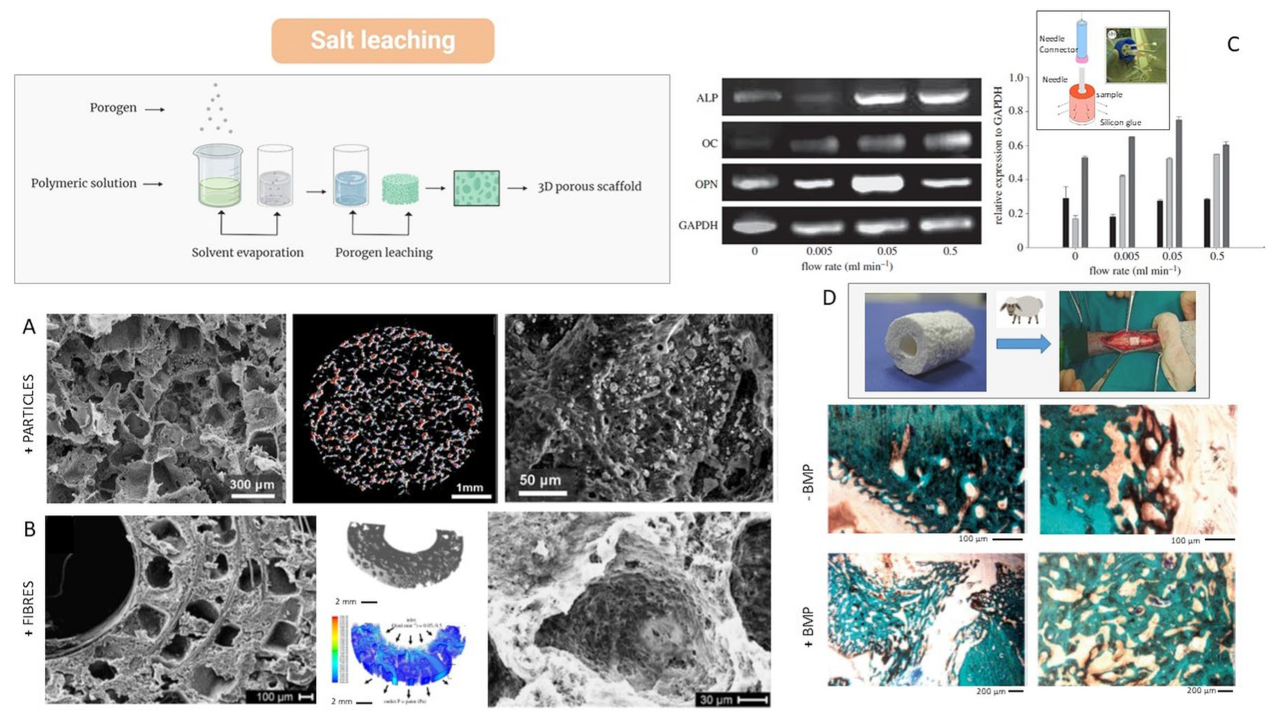 Bioengineering 12 00046 g005