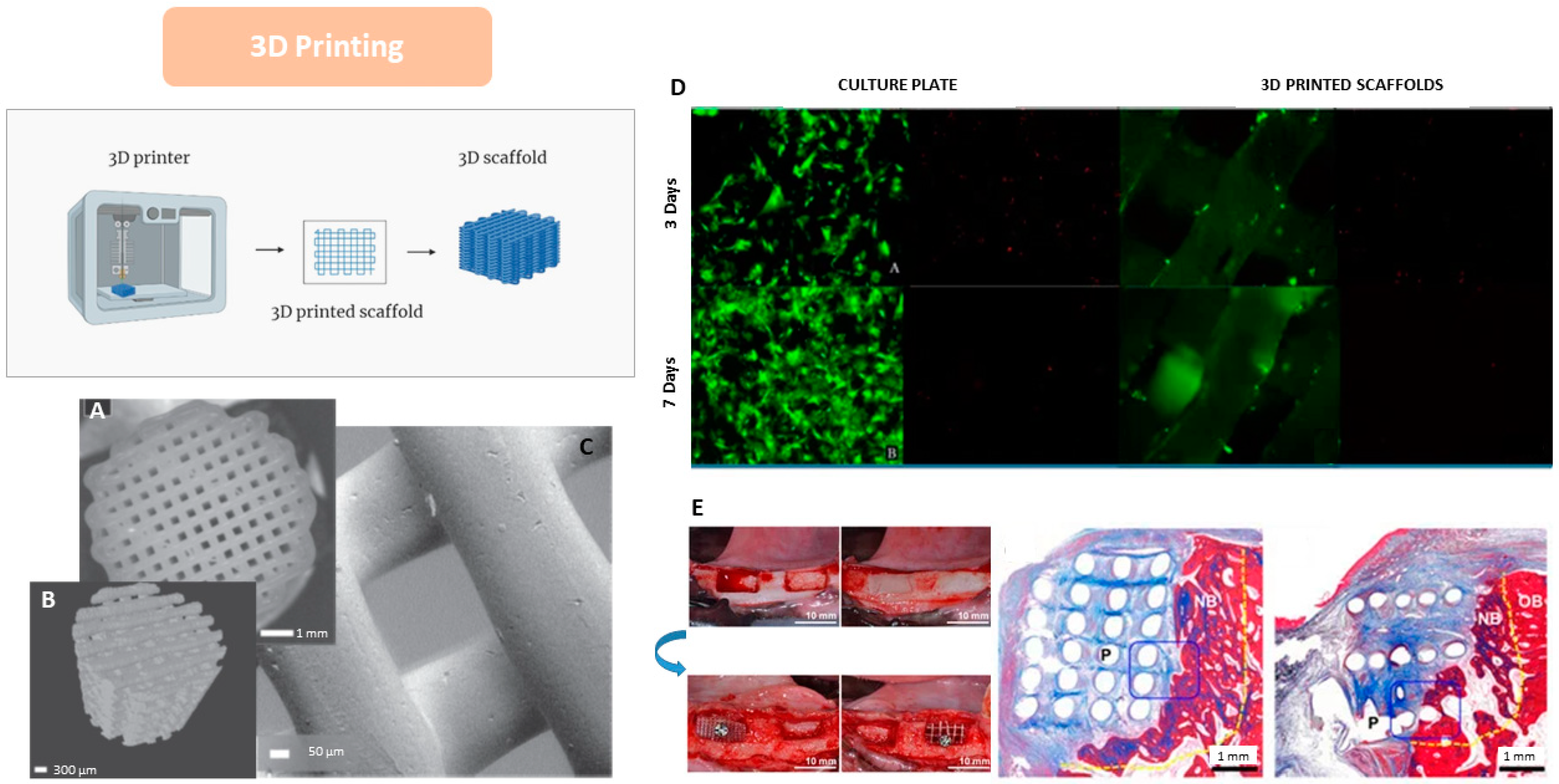 Bioengineering 12 00046 g008