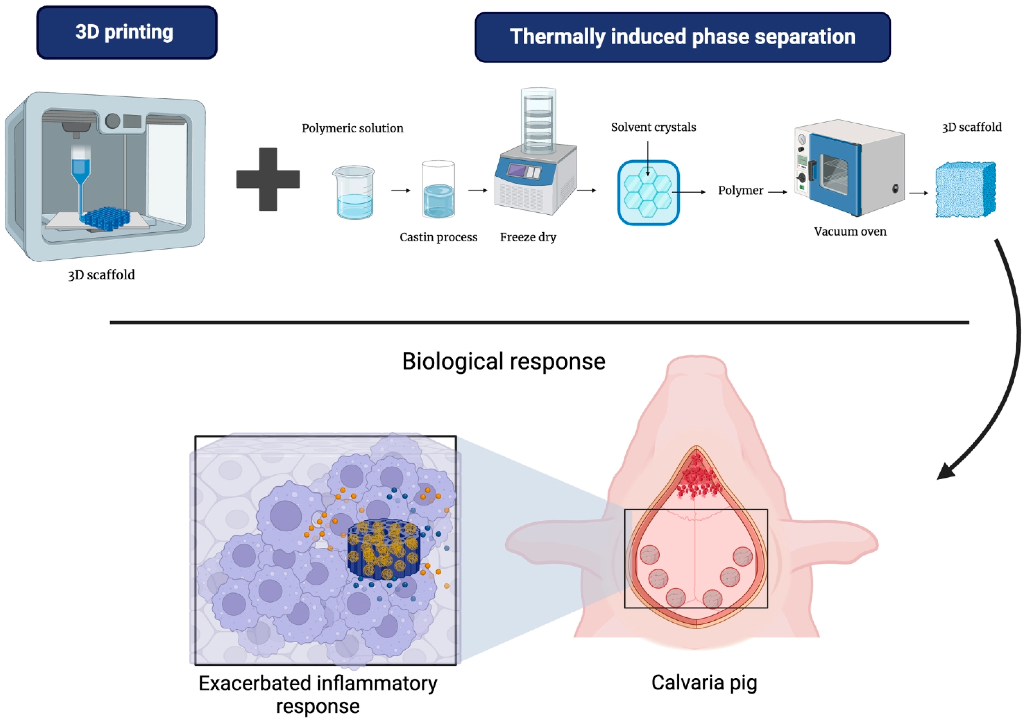 Bioengineering 12 00046 g010
