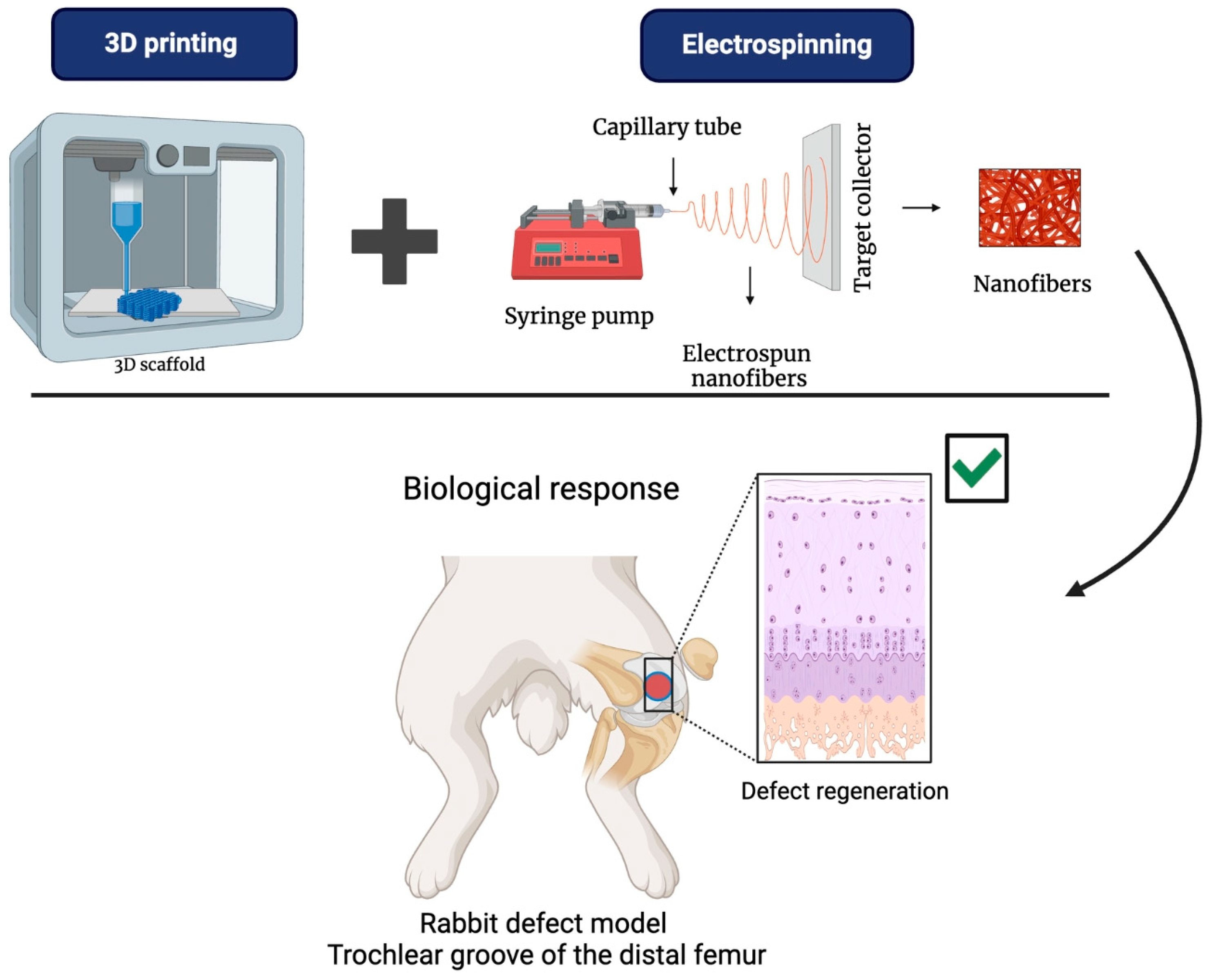 Bioengineering 12 00046 g011