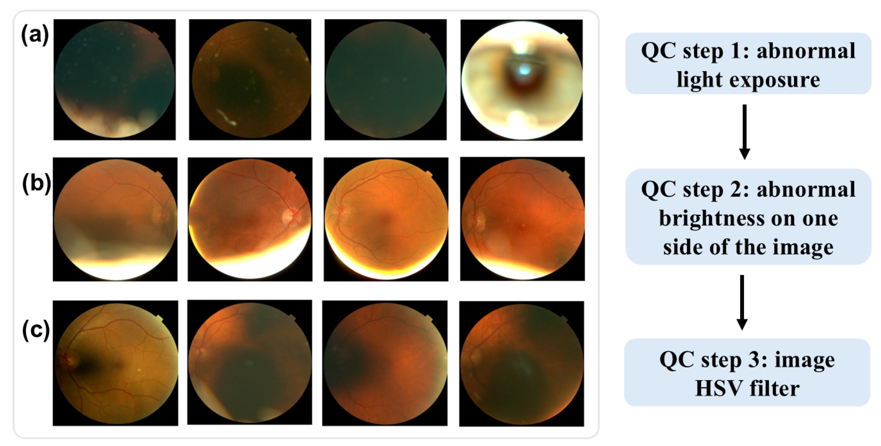 Bioengineering 12 00057 g001