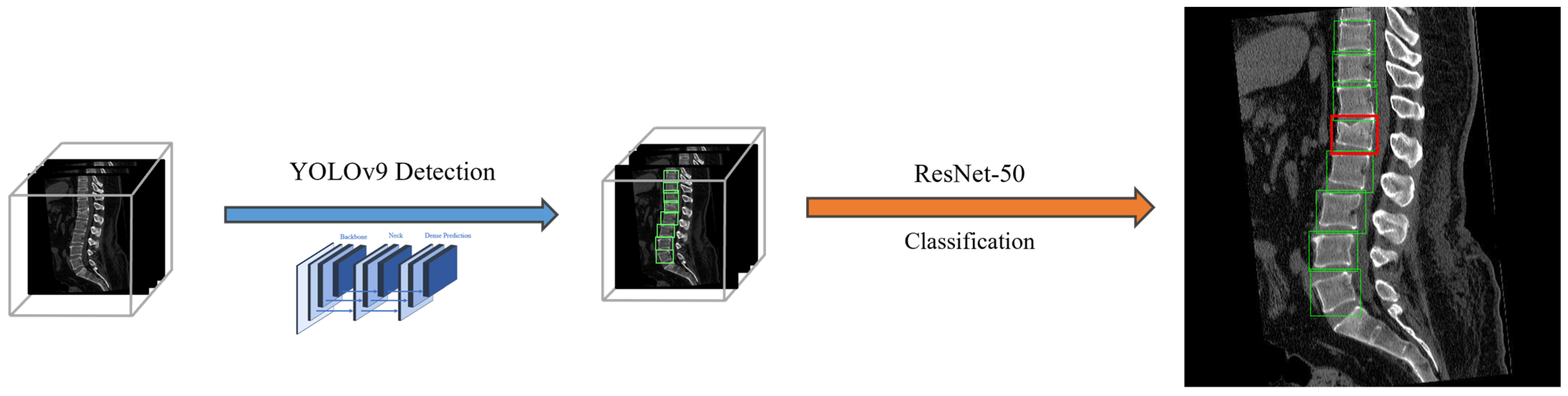 Bioengineering 12 00064 g004