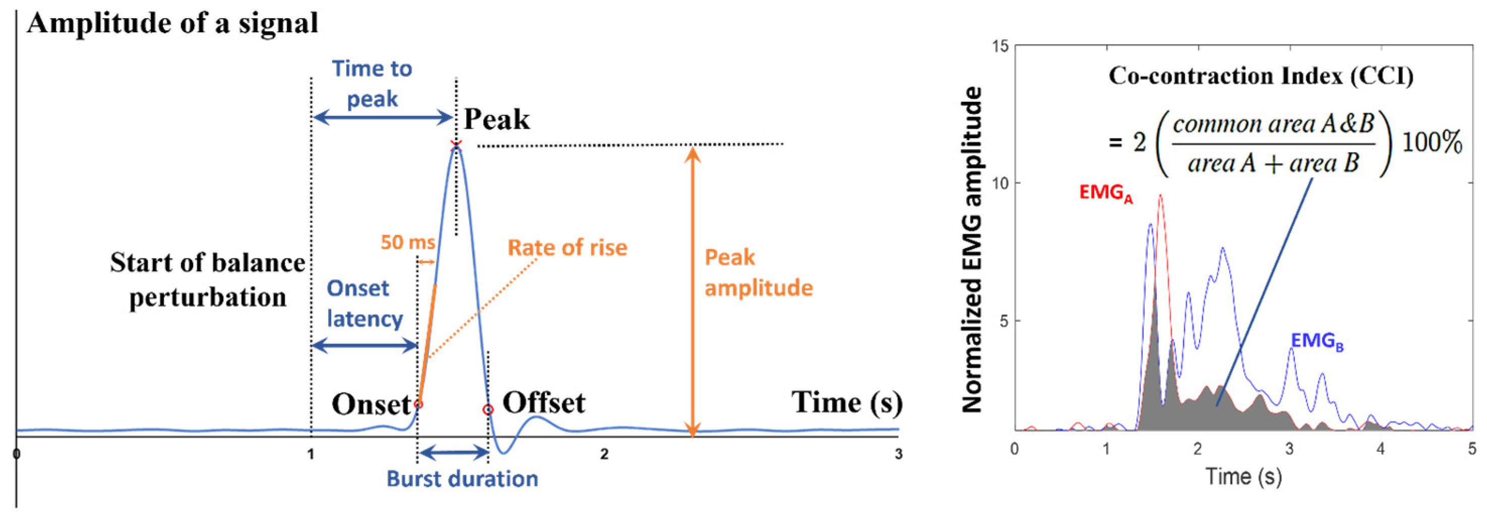 Bioengineering 12 00066 g002