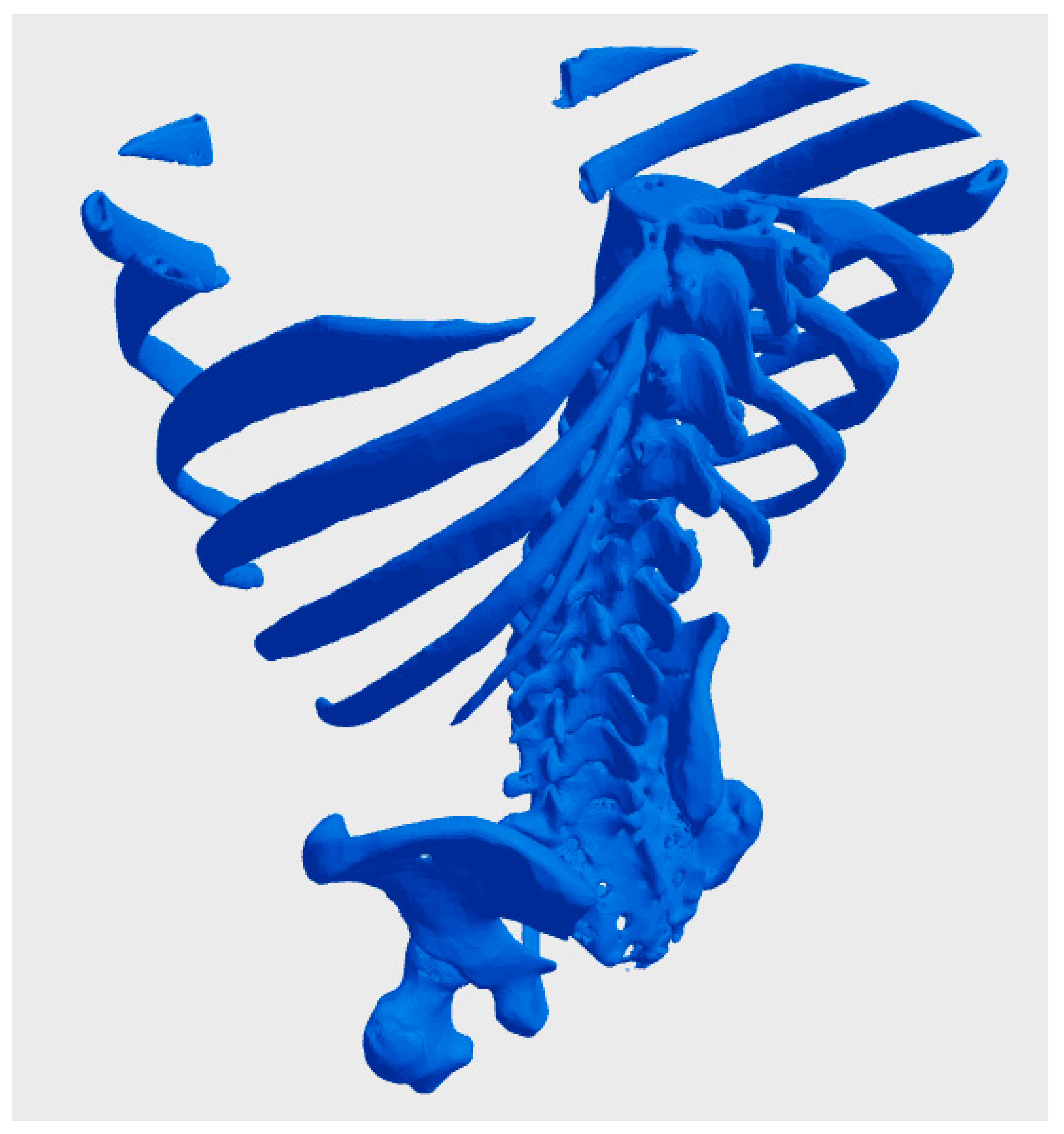 Bioengineering 12 00076 g002 Bioengineering 12 00076 g002