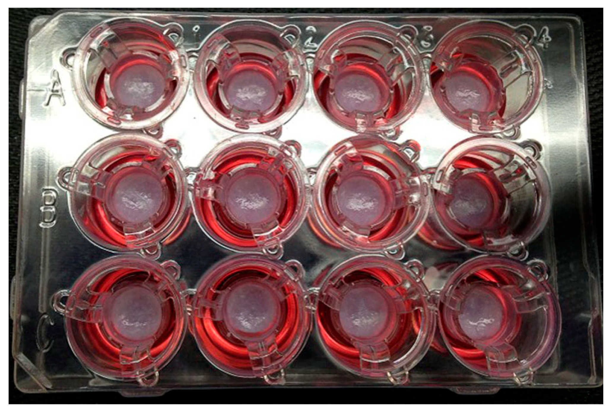 Bioengineering 12 00076 g003 Bioengineering 12 00076 g003