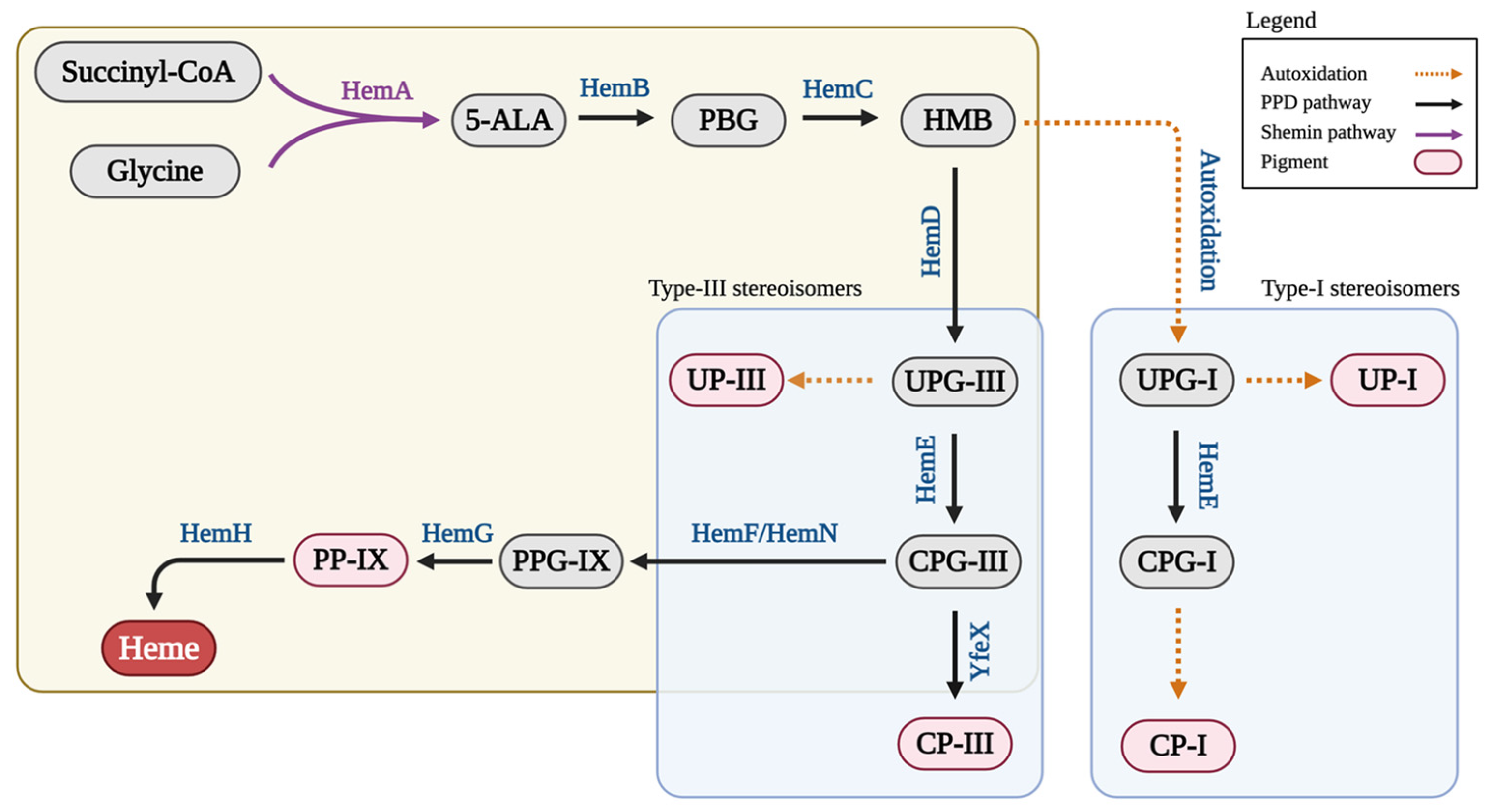 Bioengineering 12 00083 g001