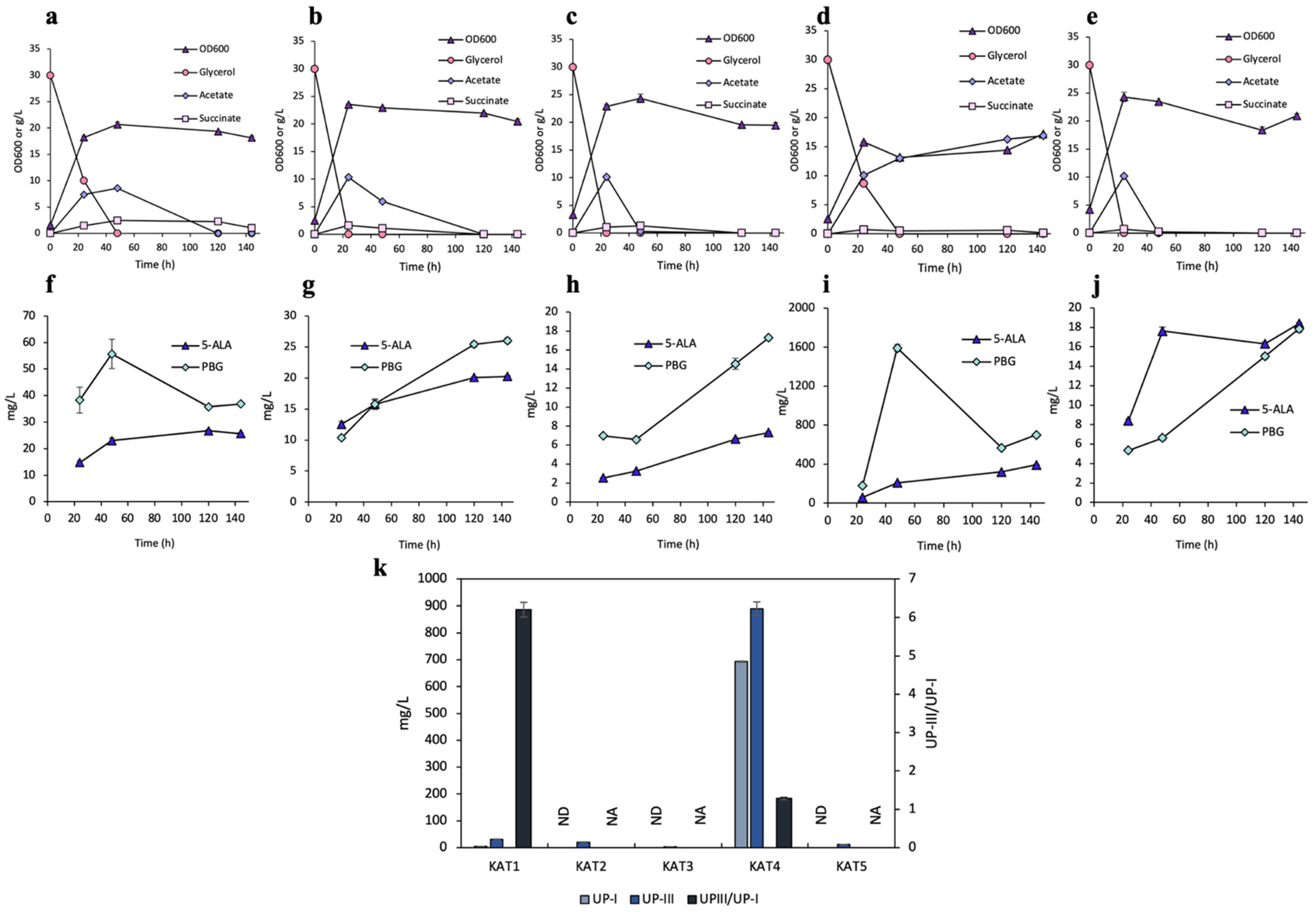 Bioengineering 12 00083 g004