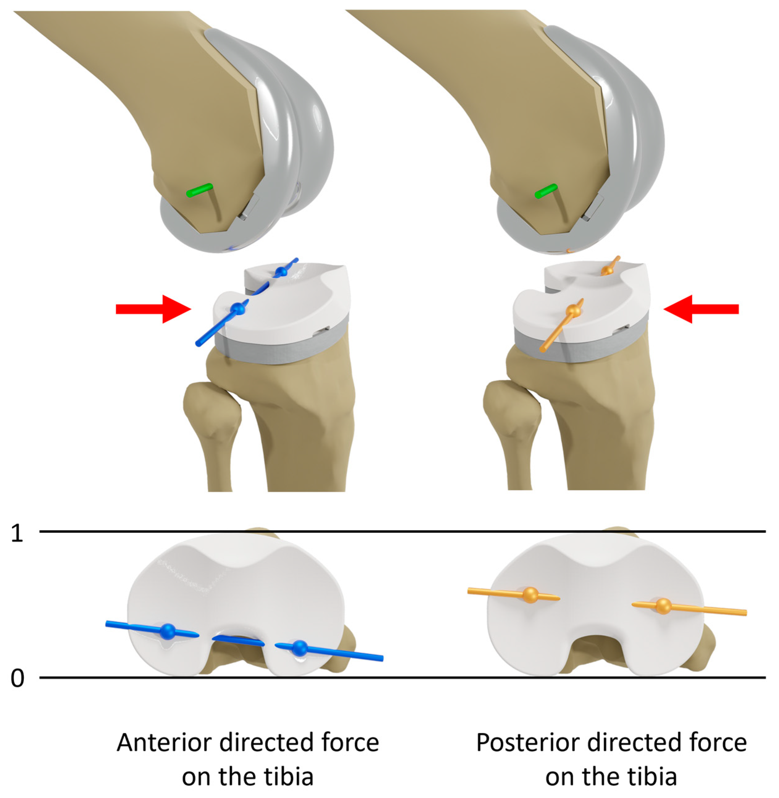Bioengineering 12 00087 g003