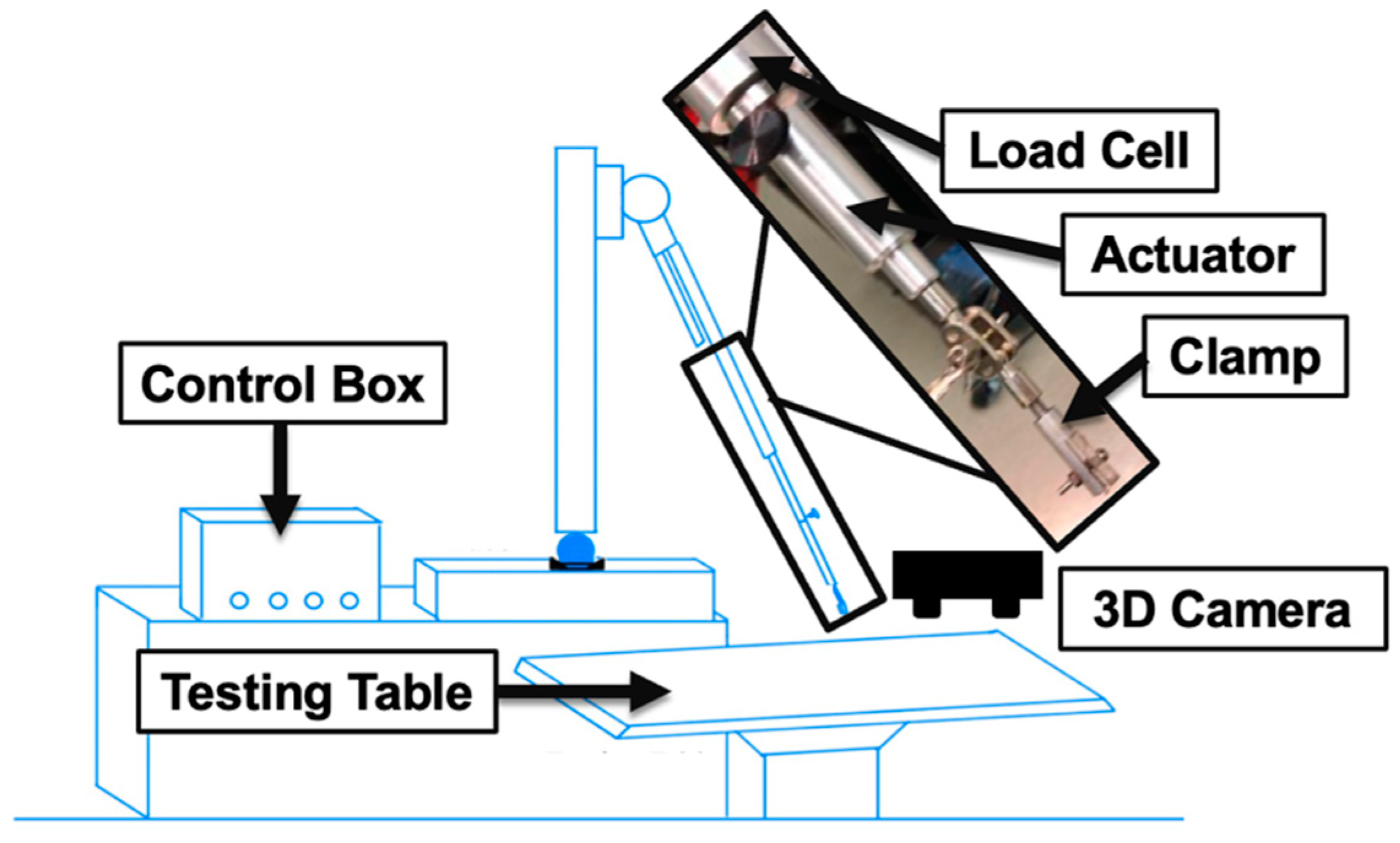 Bioengineering 12 00091 g002 Bioengineering 12 00091 g002
