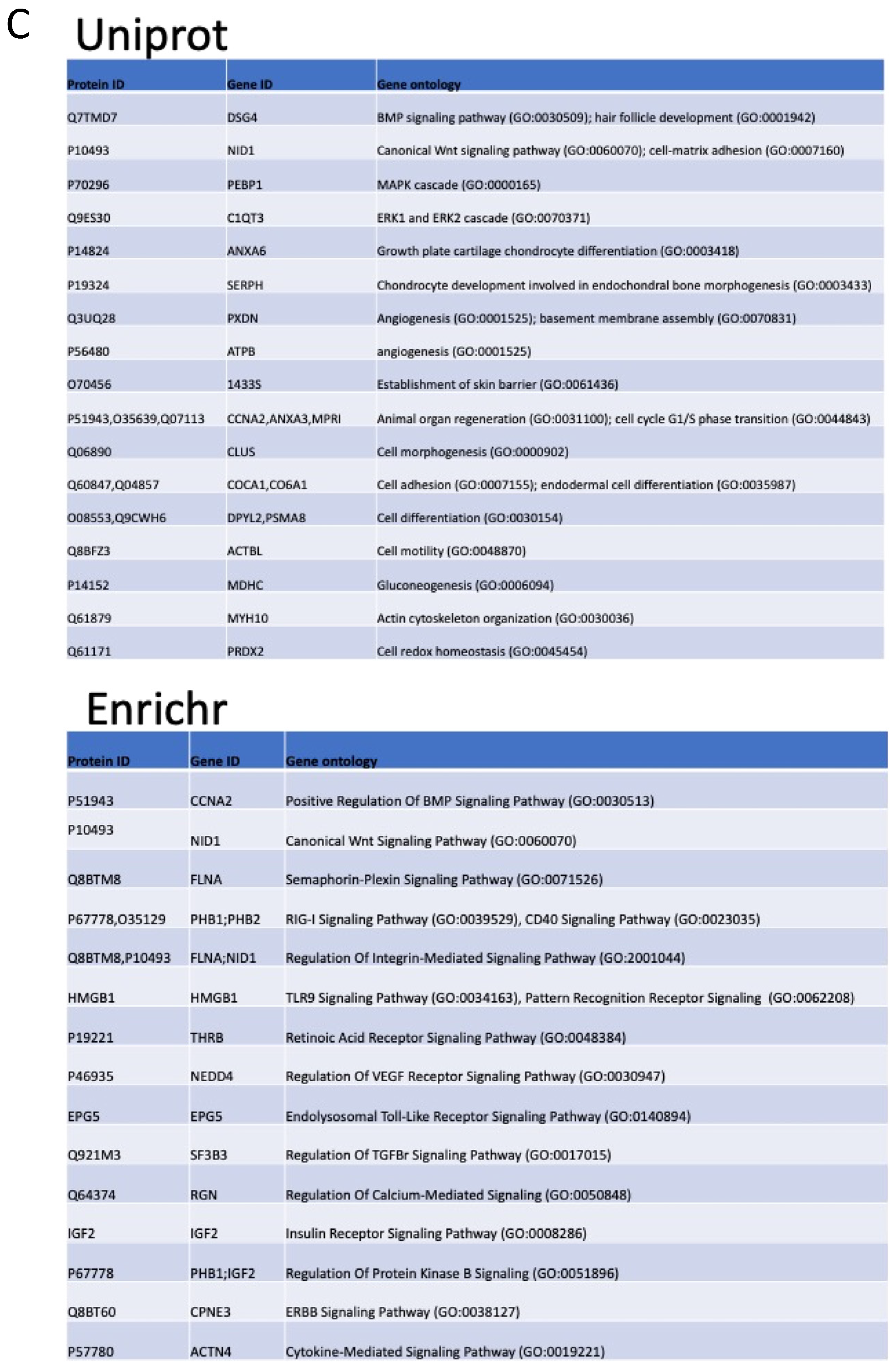 Bioengineering 12 00096 g004b Bioengineering 12 00096 g004b