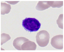 Bioengineering 12 00098 i001