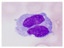 Bioengineering 12 00098 i002