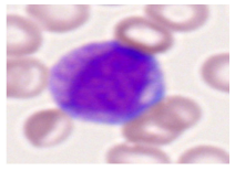 Bioengineering 12 00098 i004