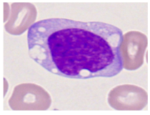 Bioengineering 12 00098 i005