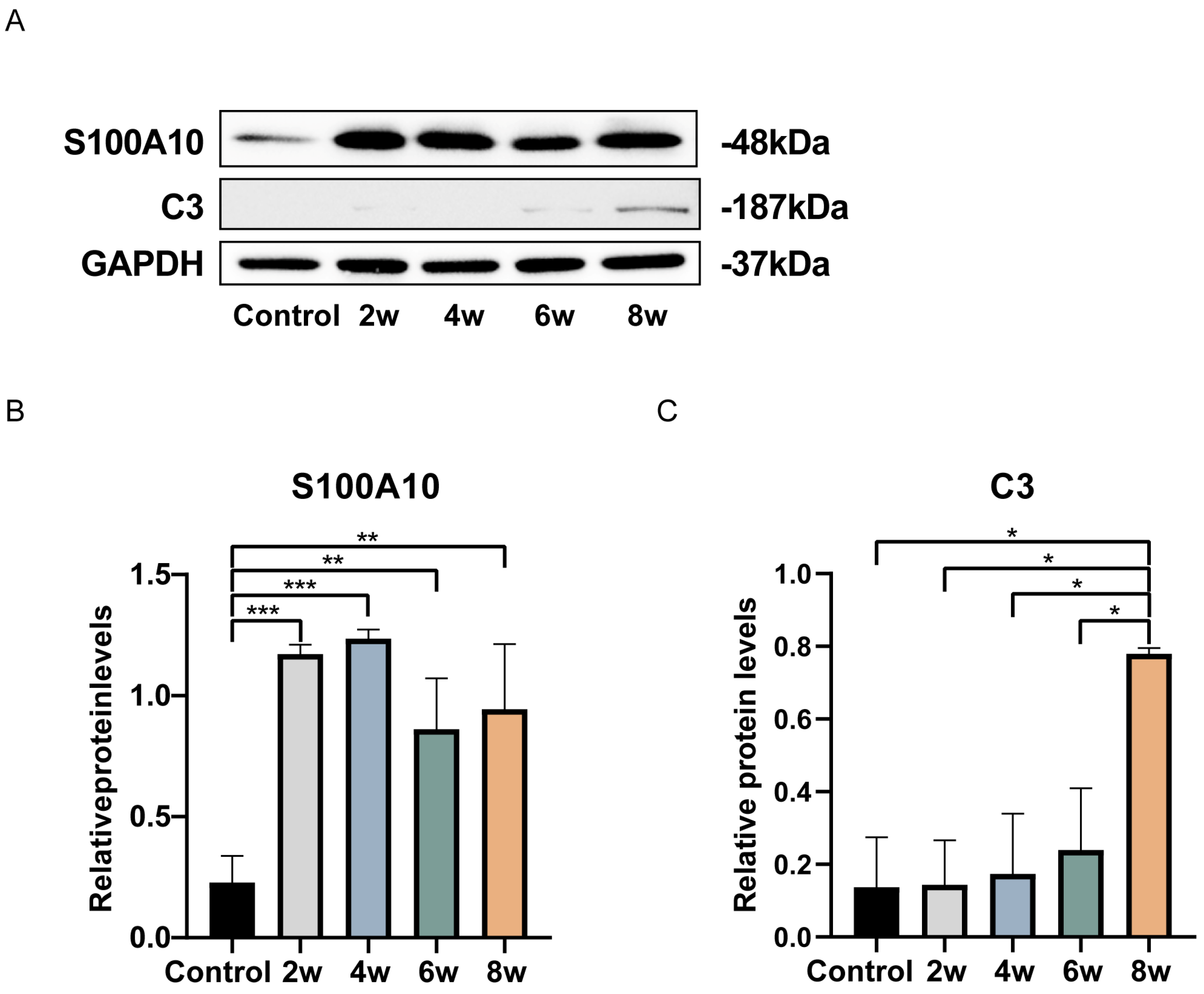 Bioengineering 12 00104 g006