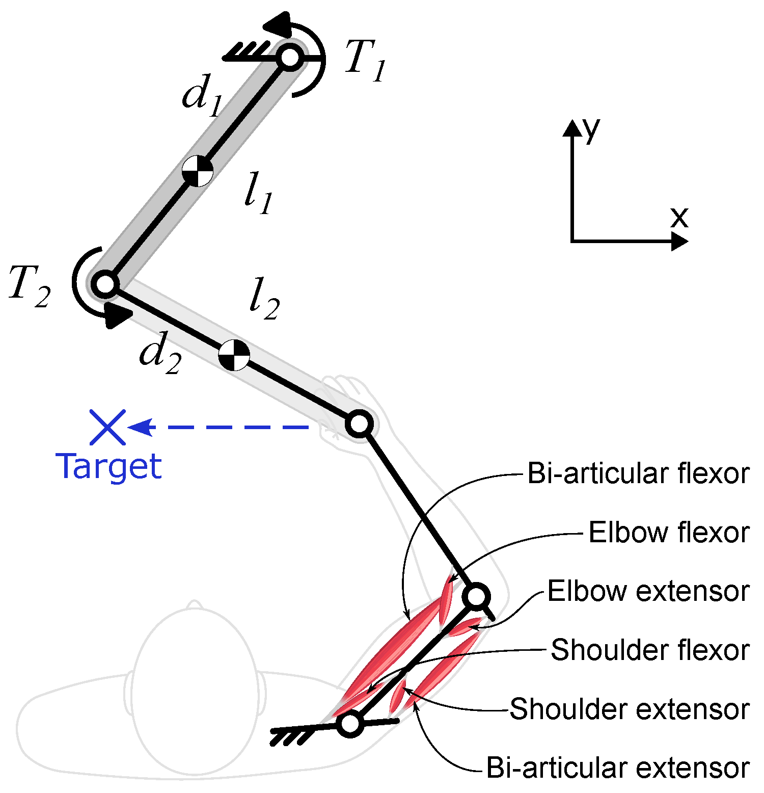 Bioengineering 12 00107 g005