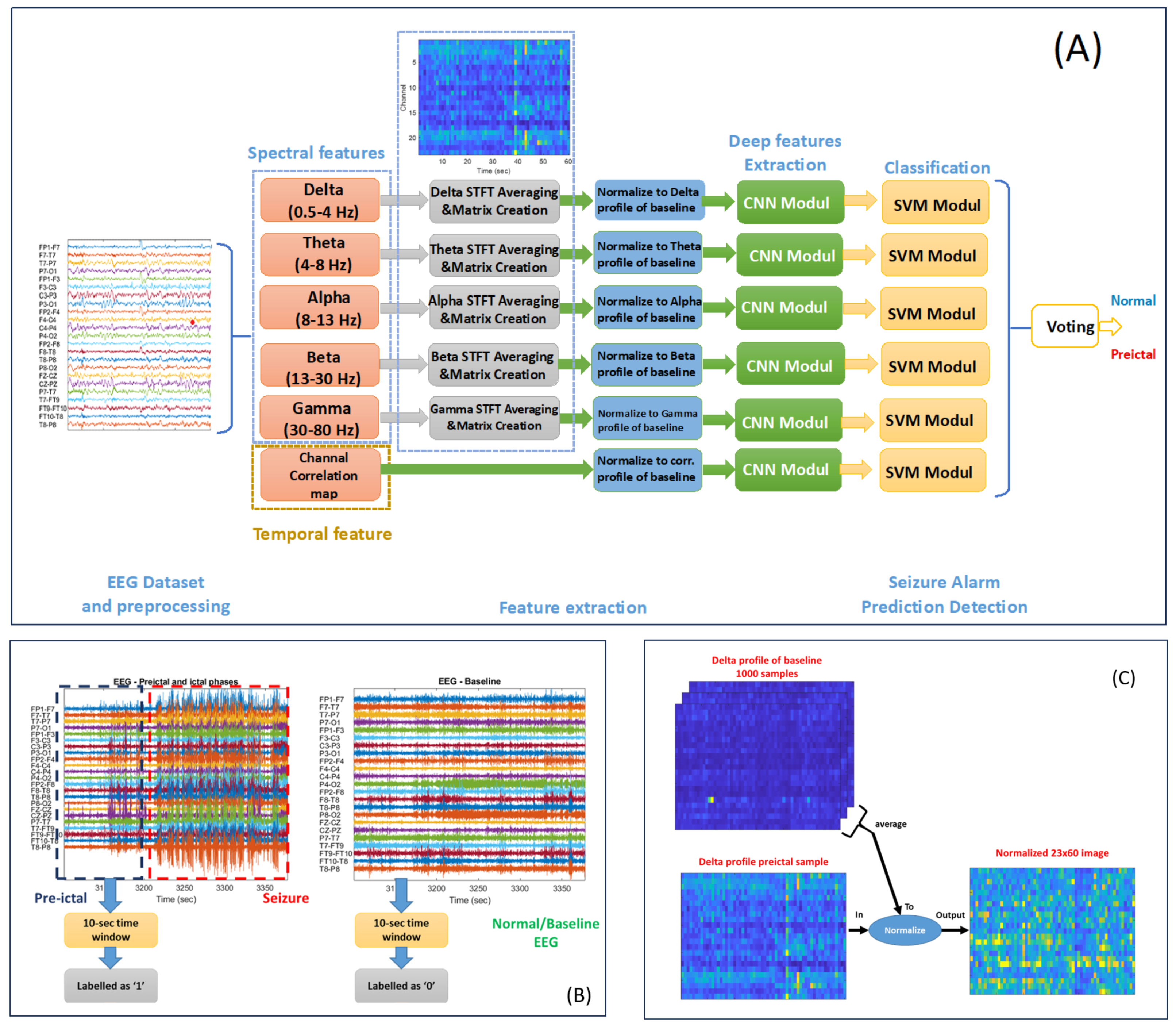 Bioengineering 12 00109 g001