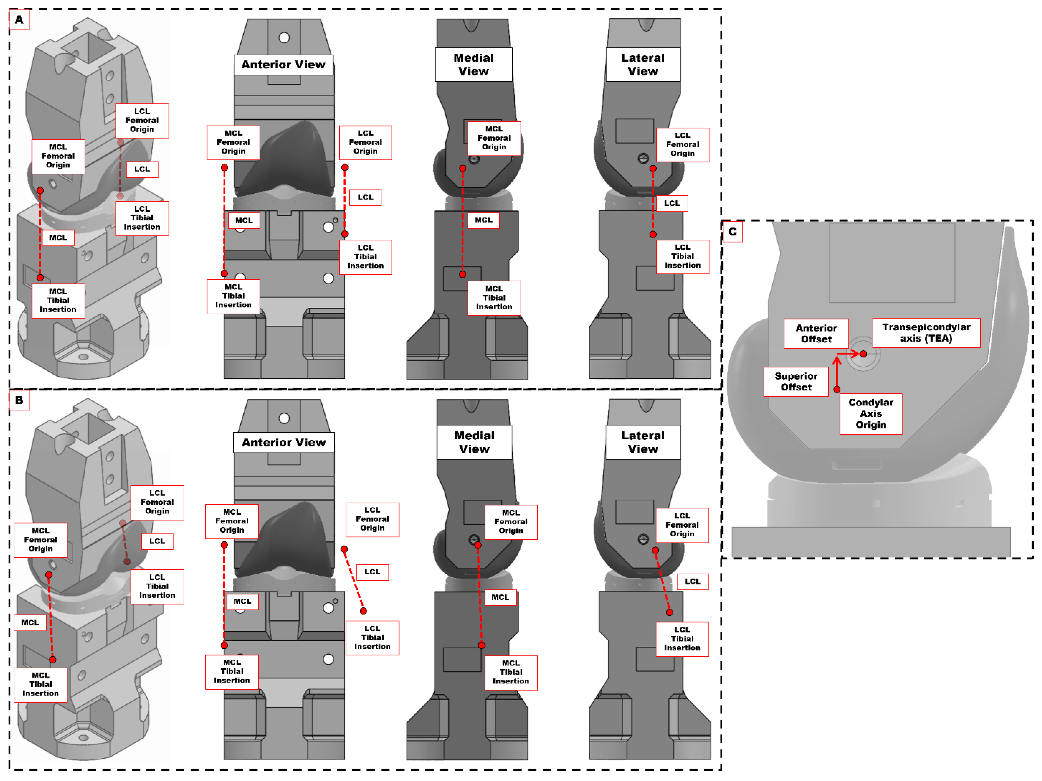 Bioengineering 12 00112 g003