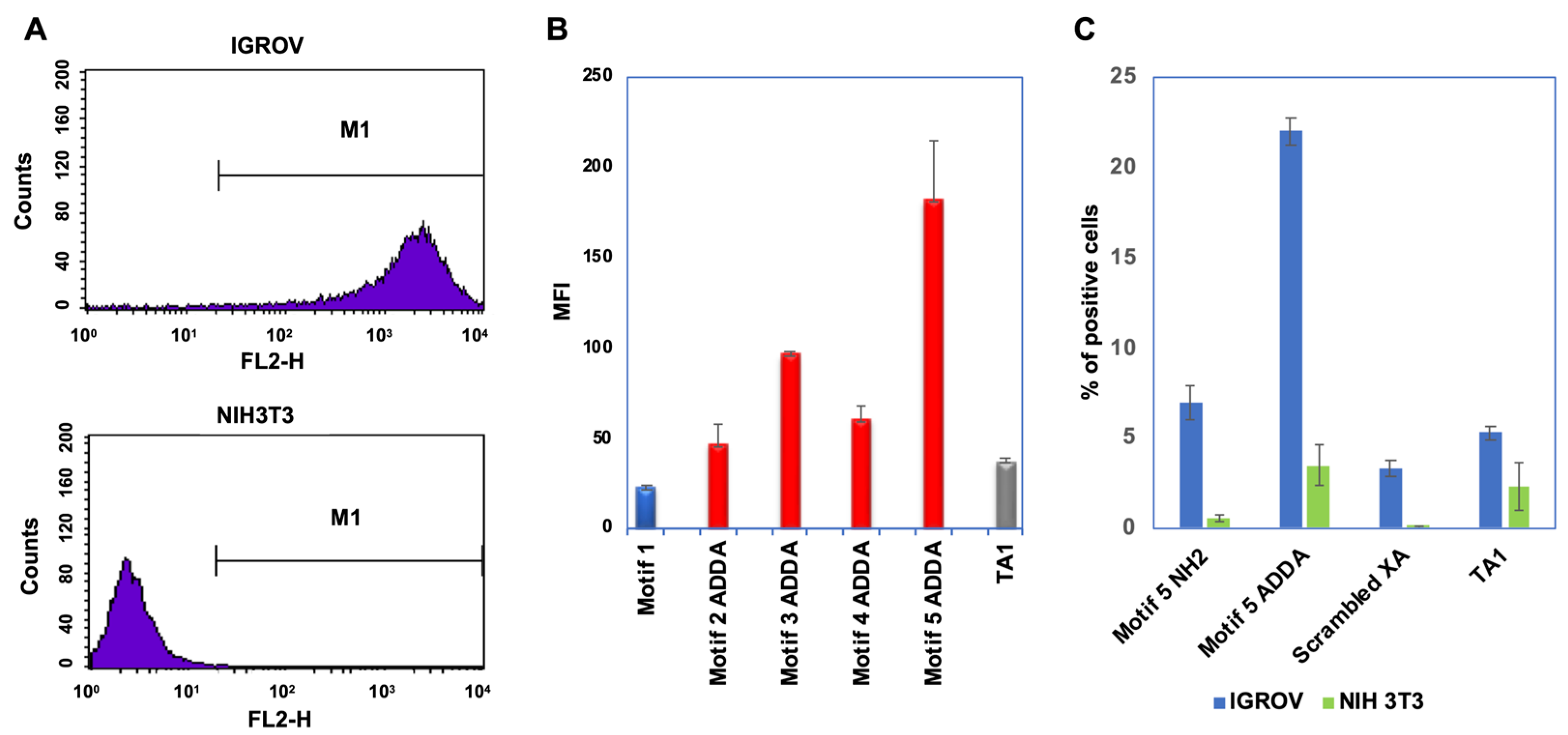 Bioengineering 12 00113 g004