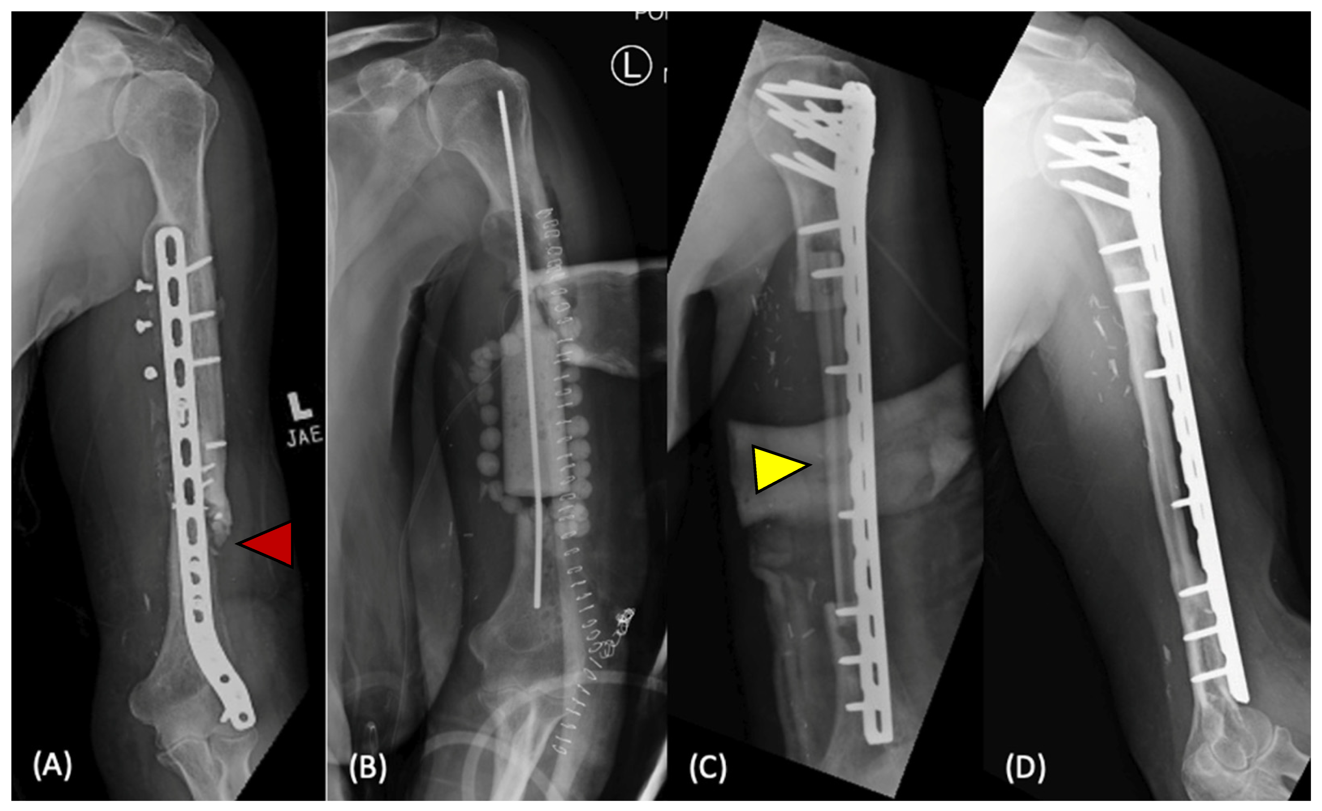 Bioengineering 12 00120 g001 Bioengineering 12 00120 g001