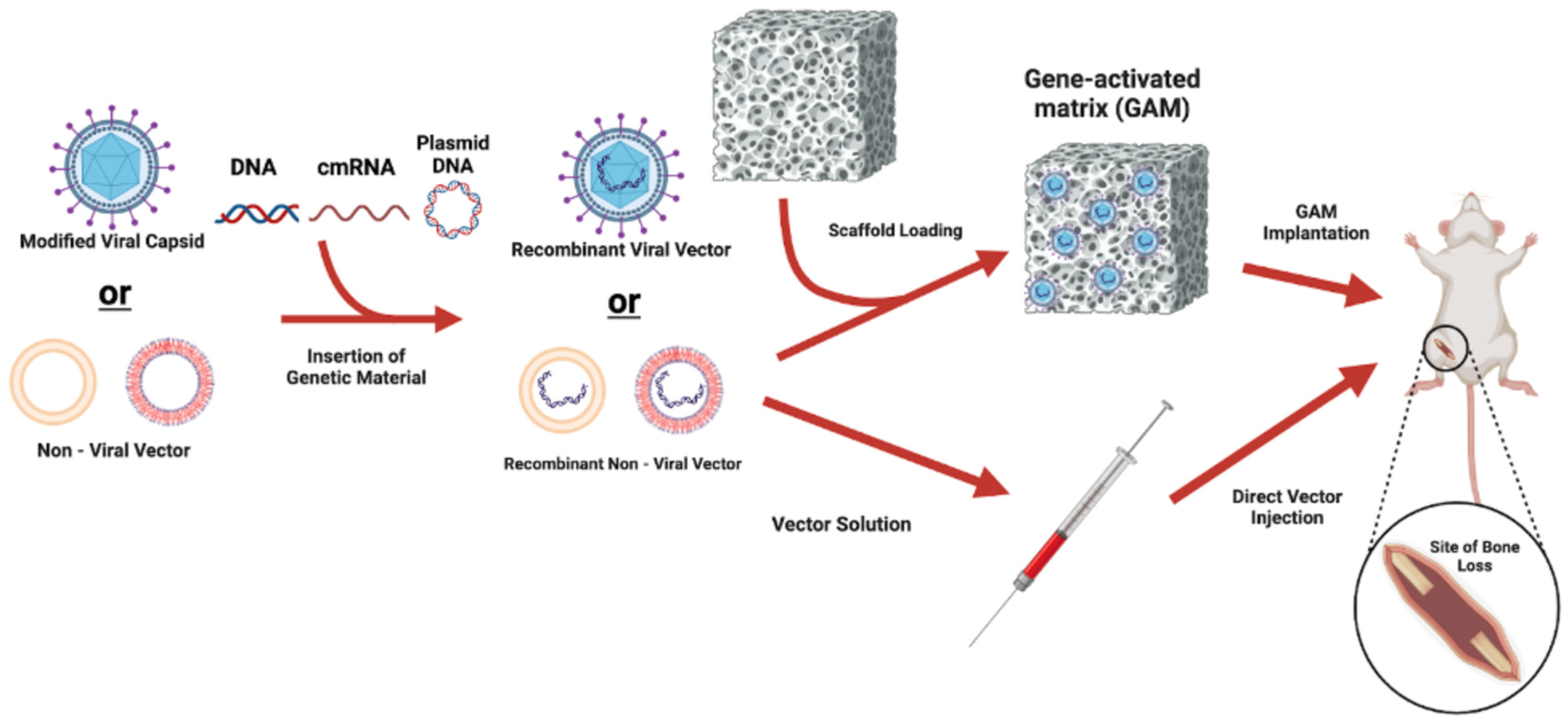 Bioengineering 12 00120 g002 Bioengineering 12 00120 g002