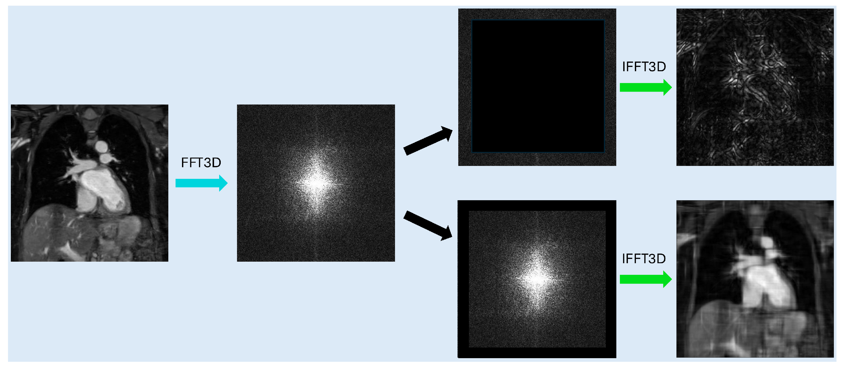 Bioengineering 12 00129 g001