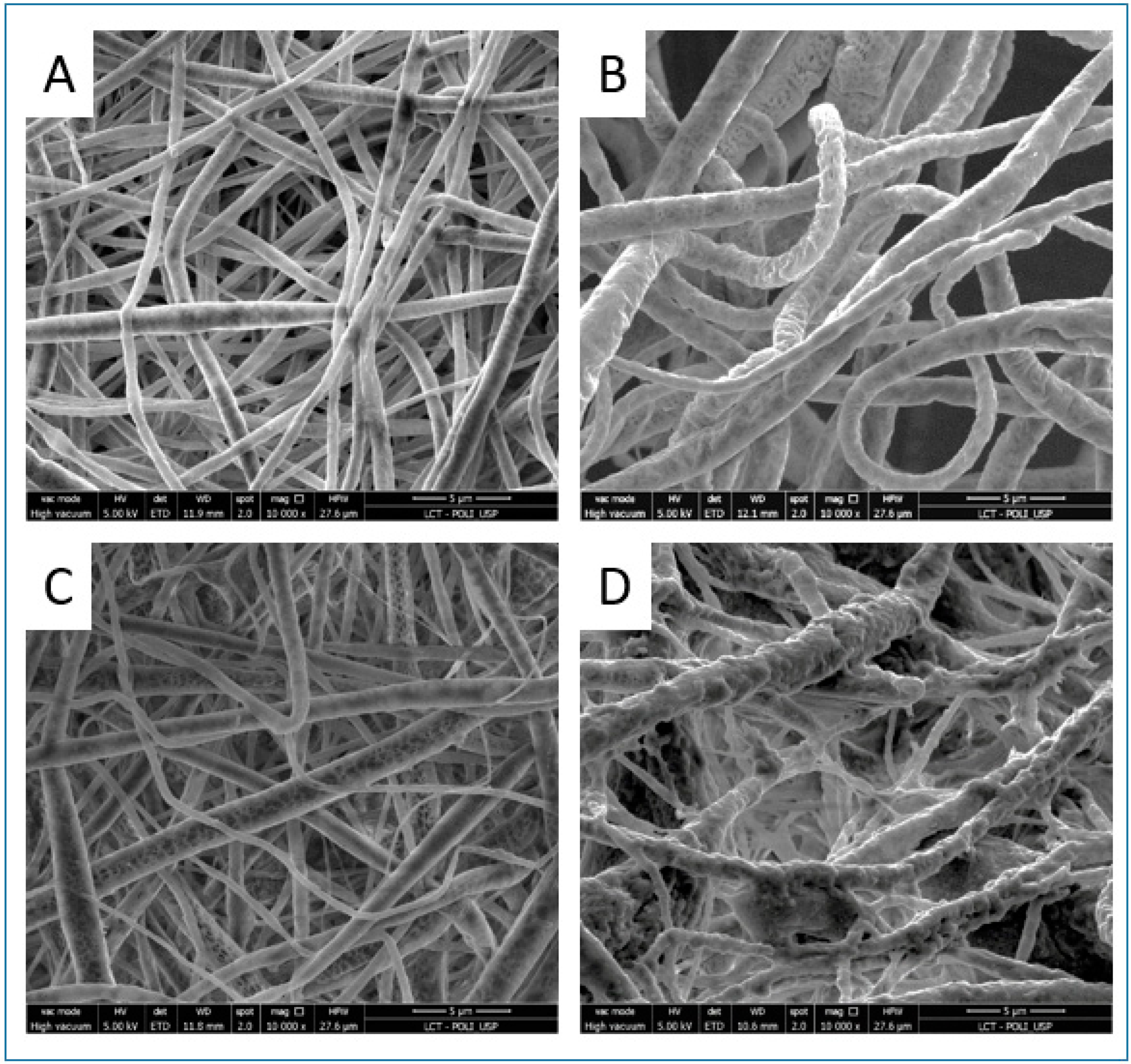 Bioengineering 12 00130 g002