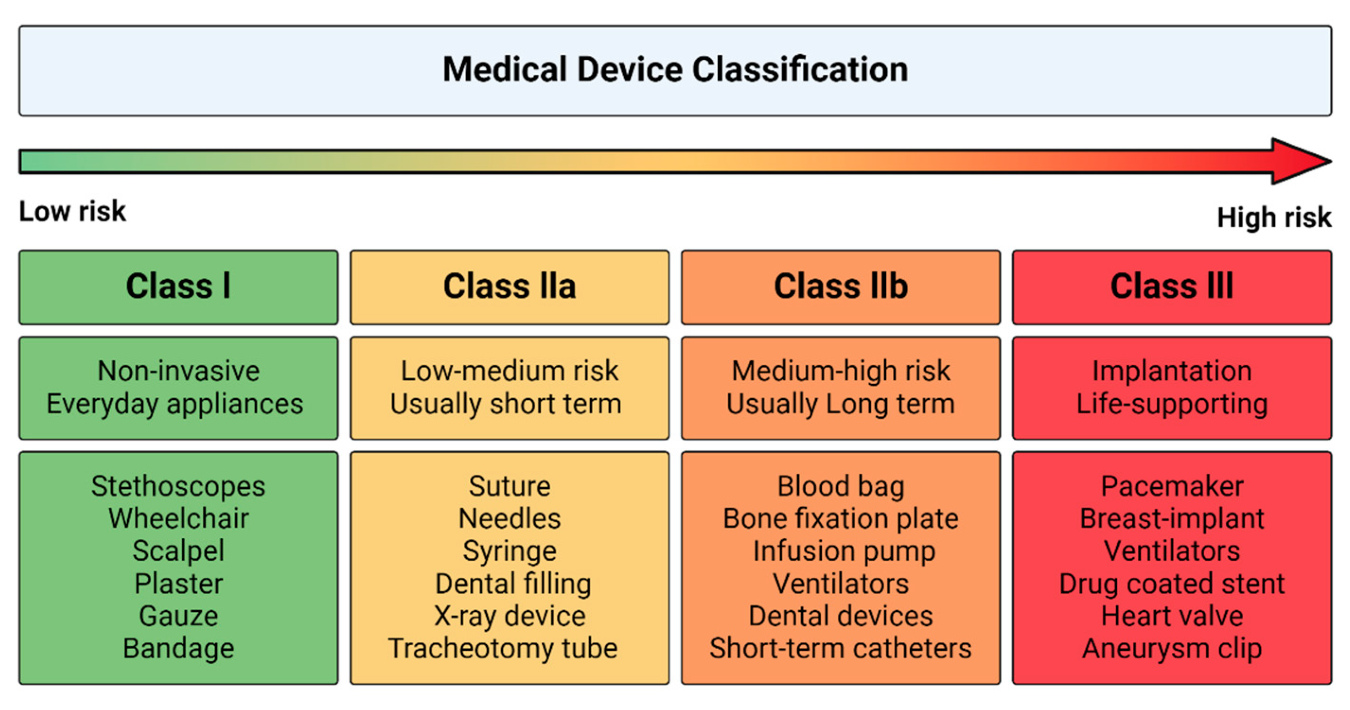 Bioengineering 12 00136 g003