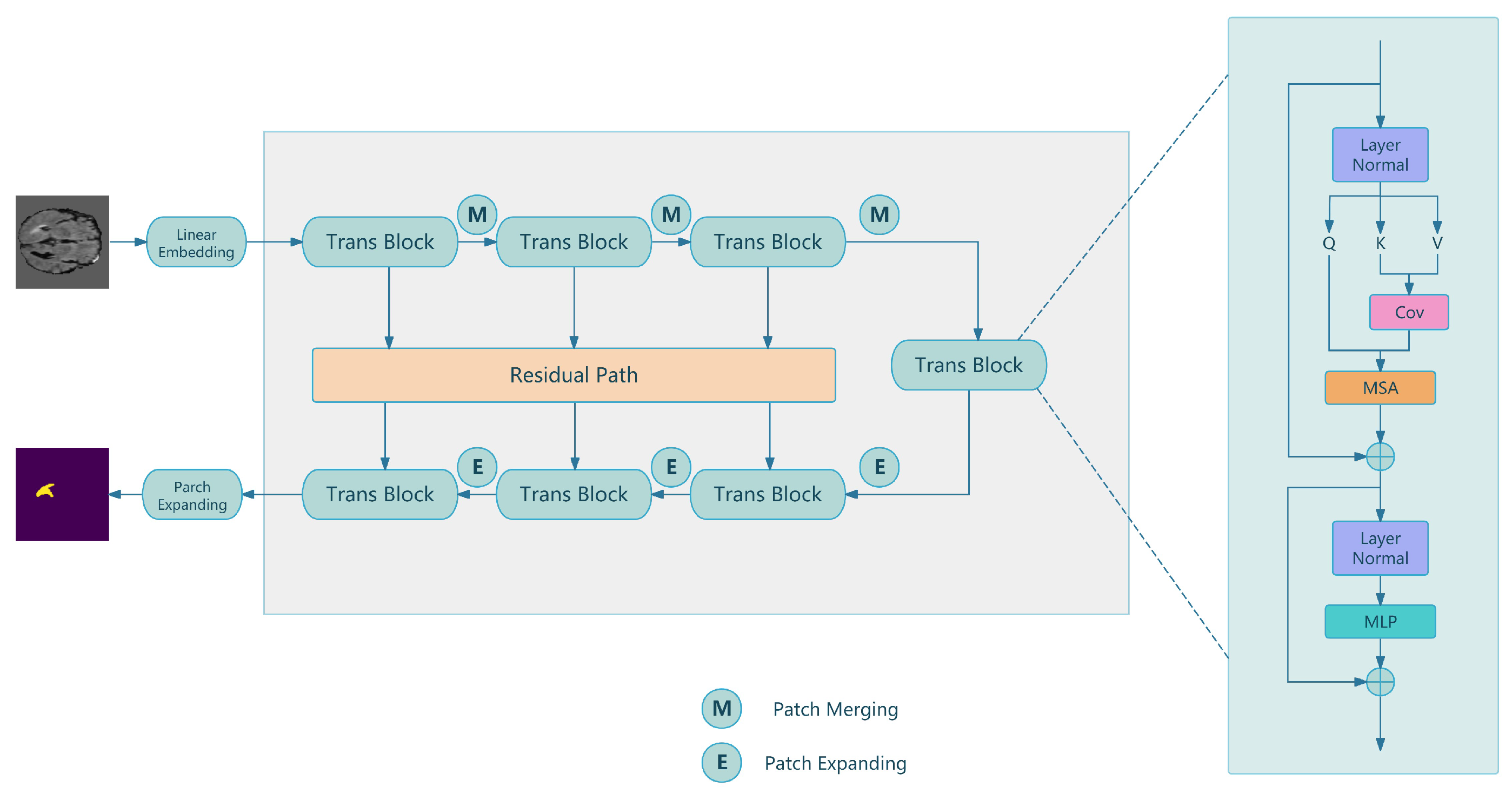 Bioengineering 12 00140 g002