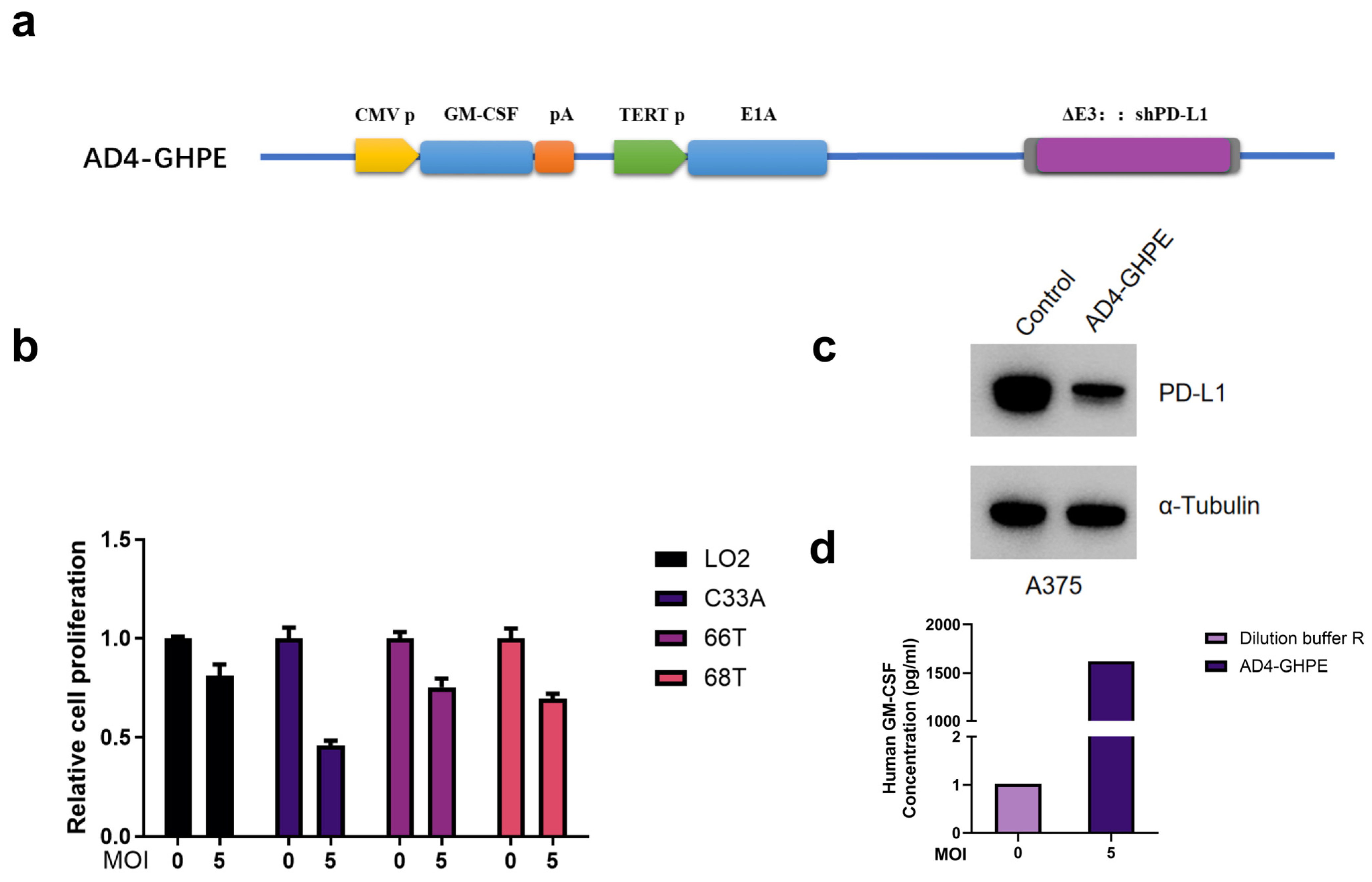 Bioengineering 12 00146 g001