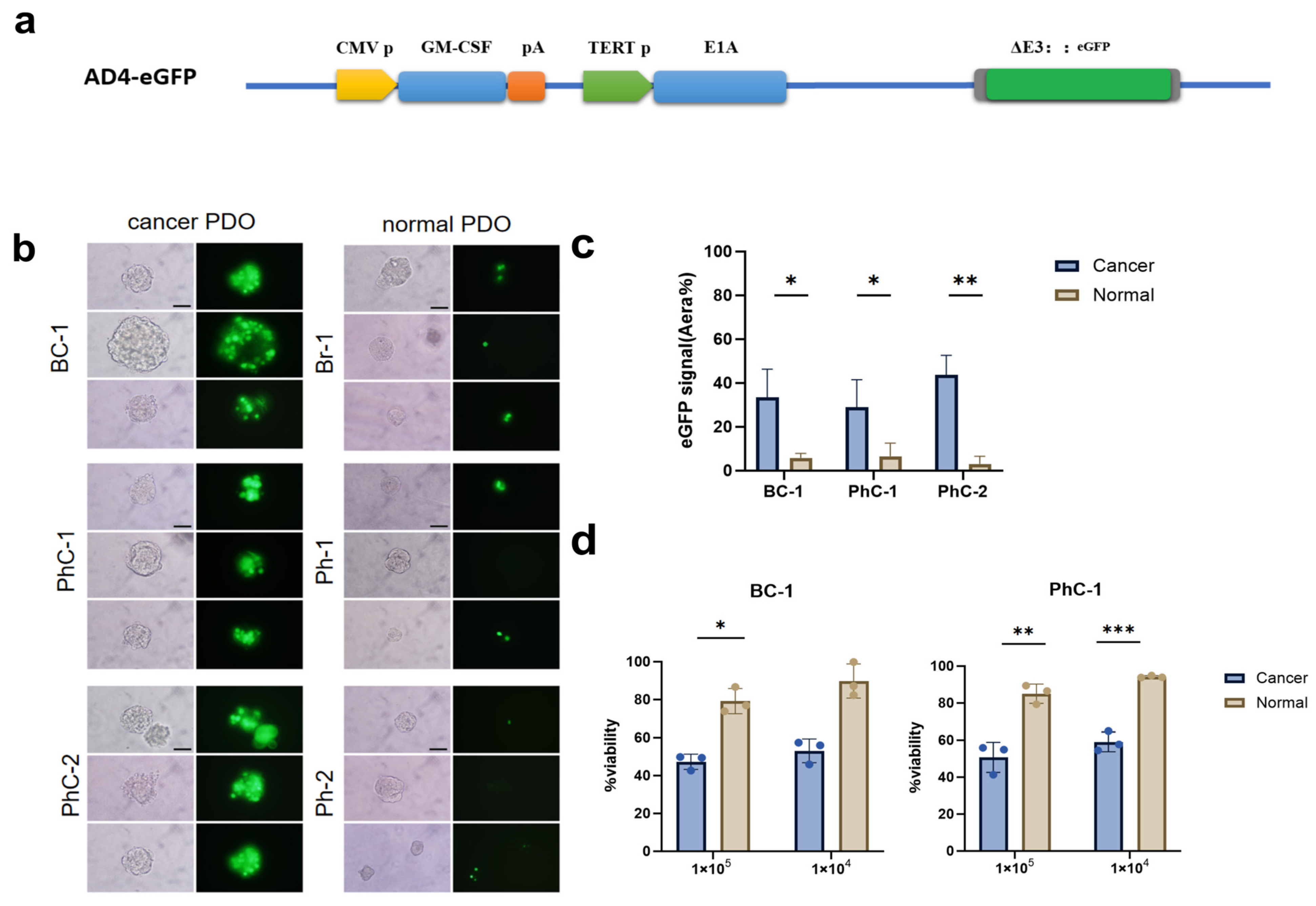 Bioengineering 12 00146 g003