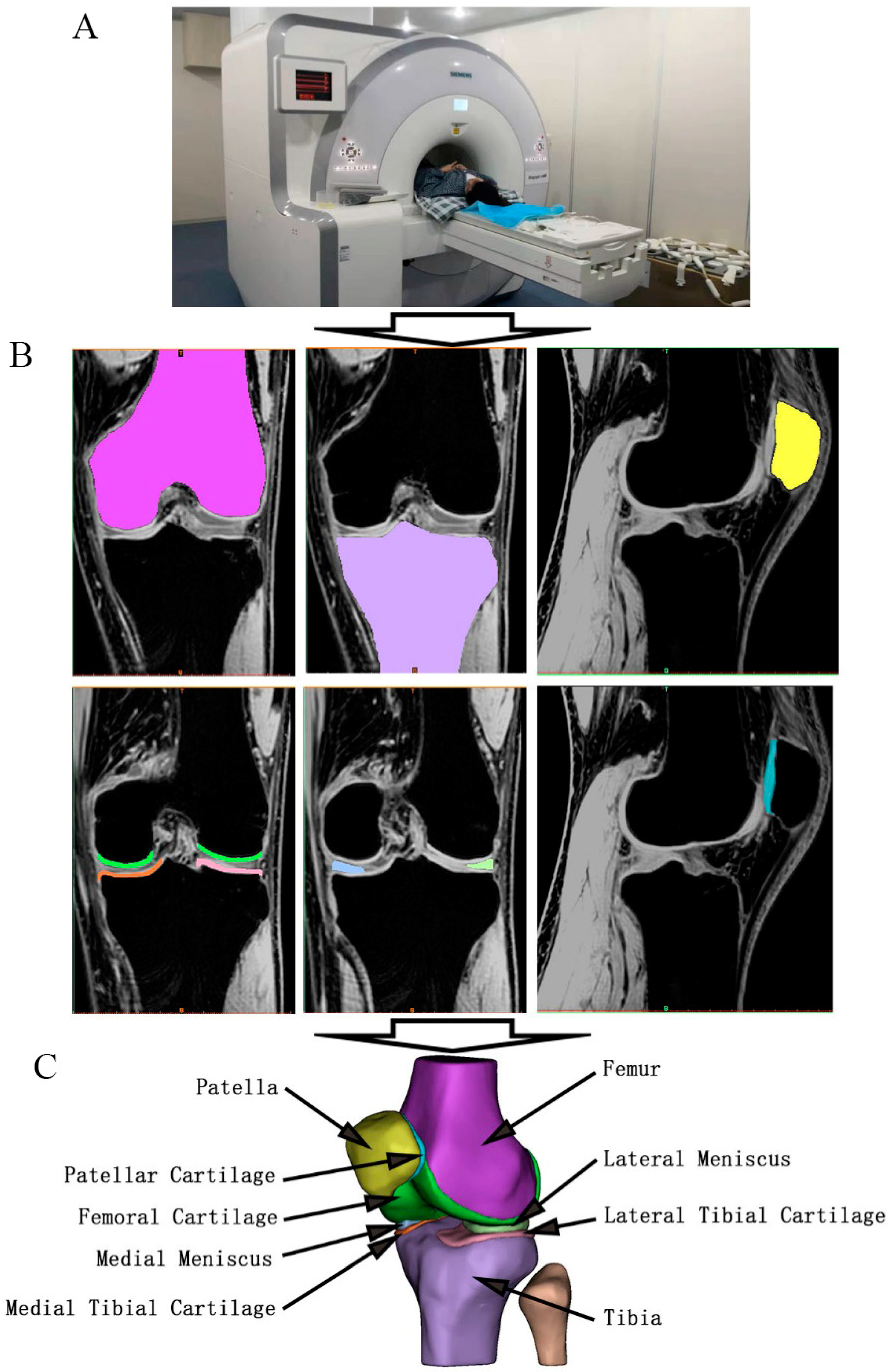 Bioengineering 12 00153 g002