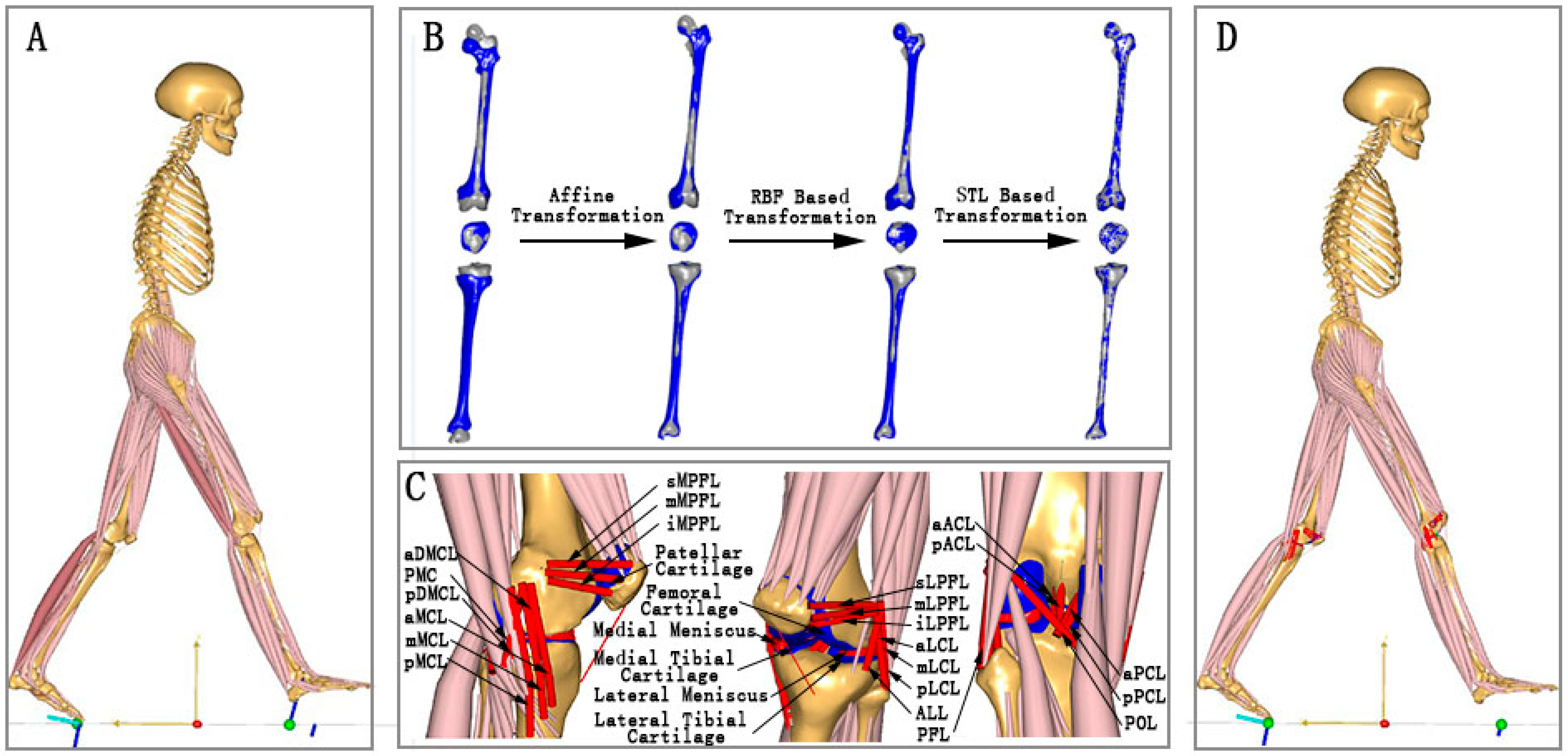 Bioengineering 12 00153 g003