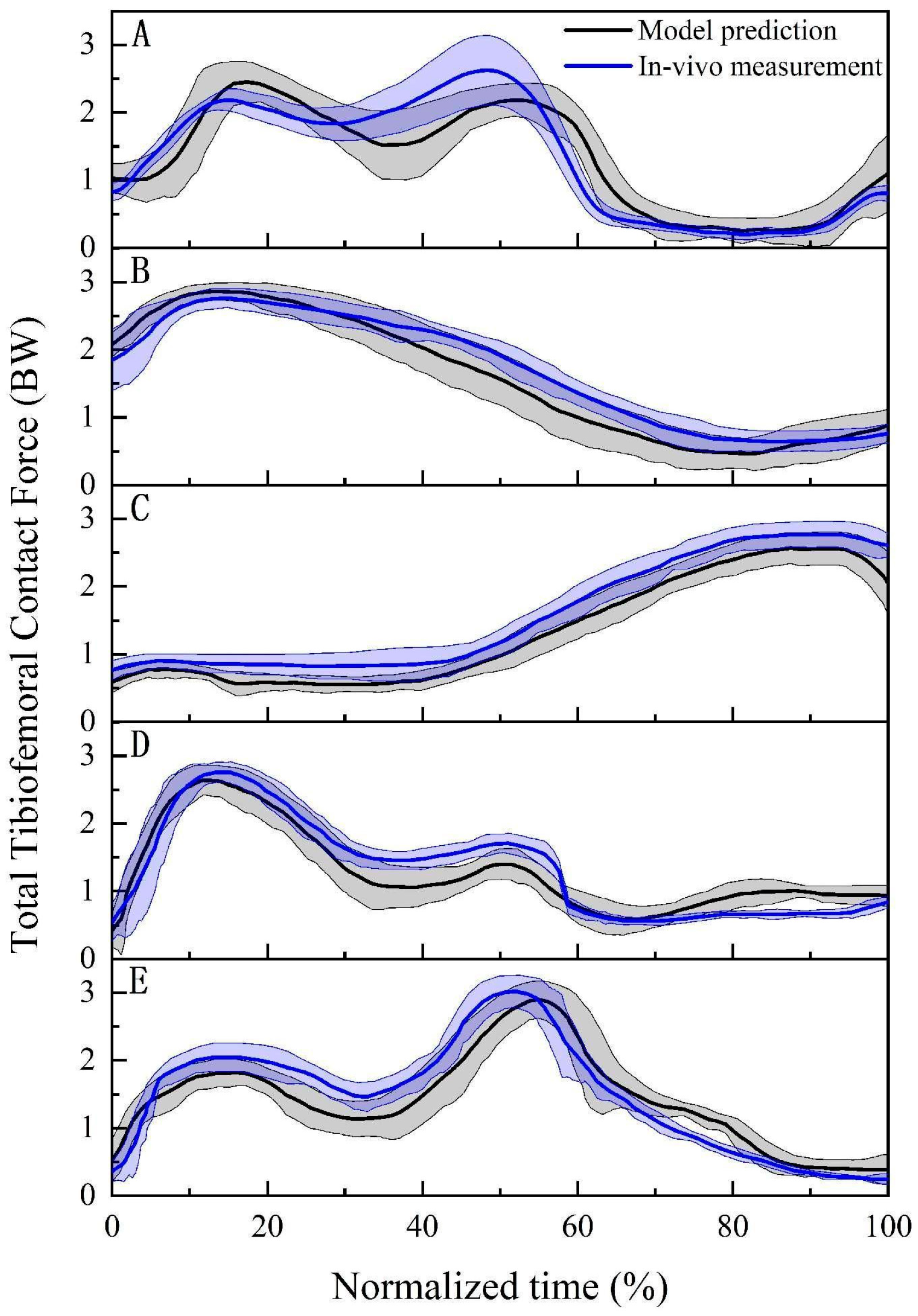 Bioengineering 12 00153 g004
