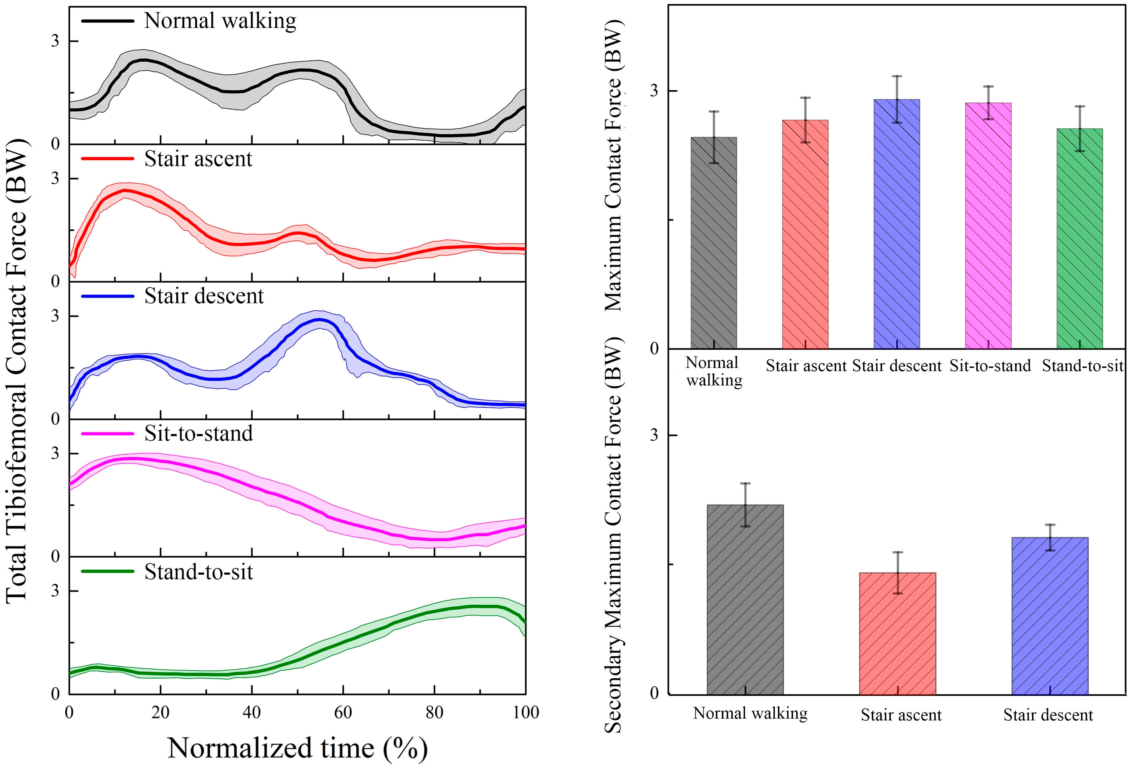 Bioengineering 12 00153 g005